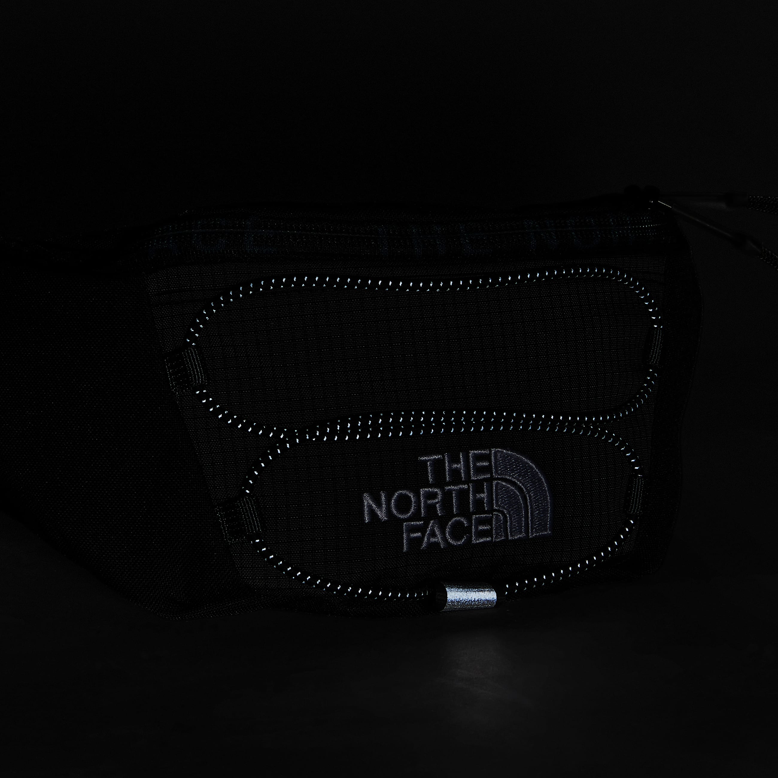 Jester Bum Bag TNF ALT5