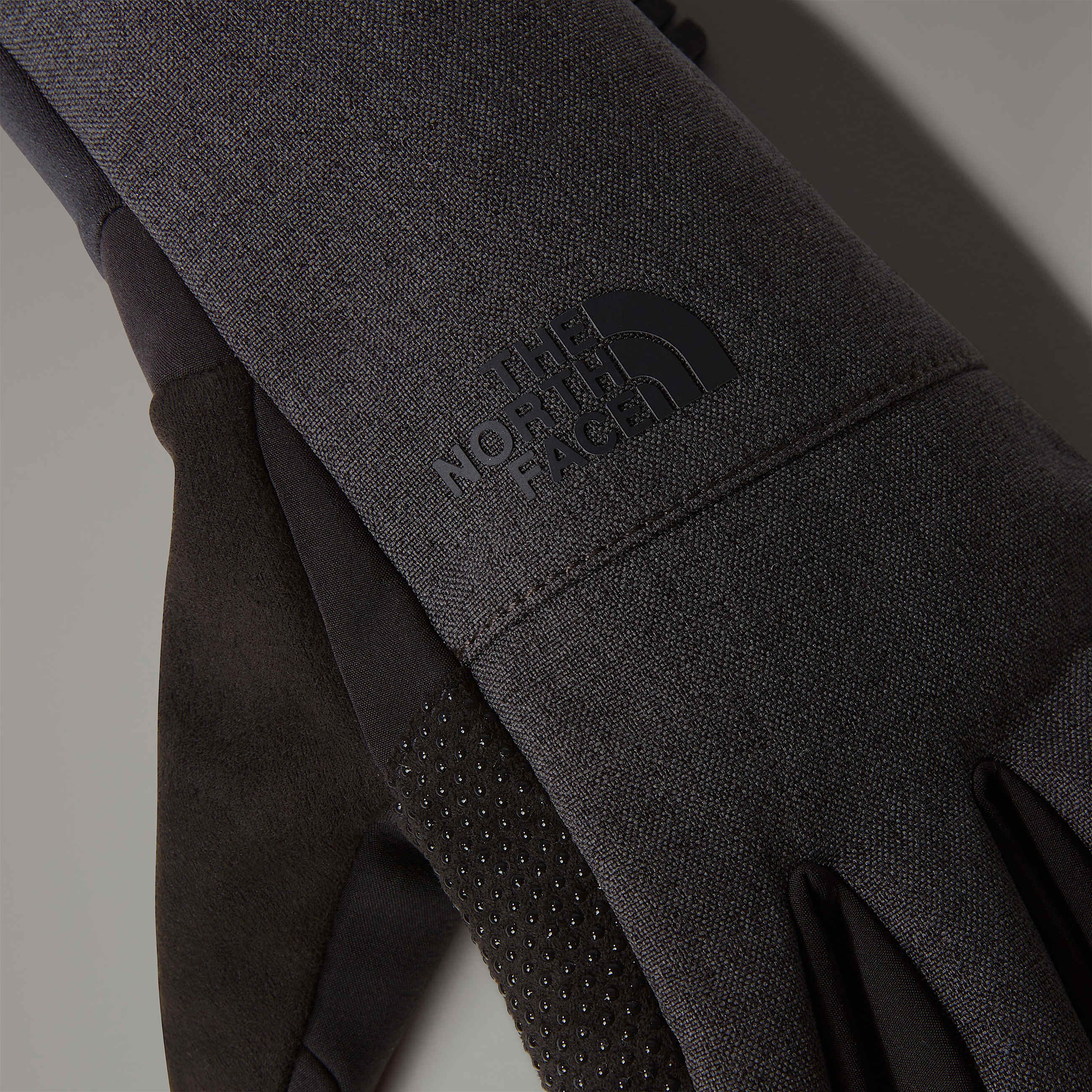 Apex Etip Gloves W TNF ALT3