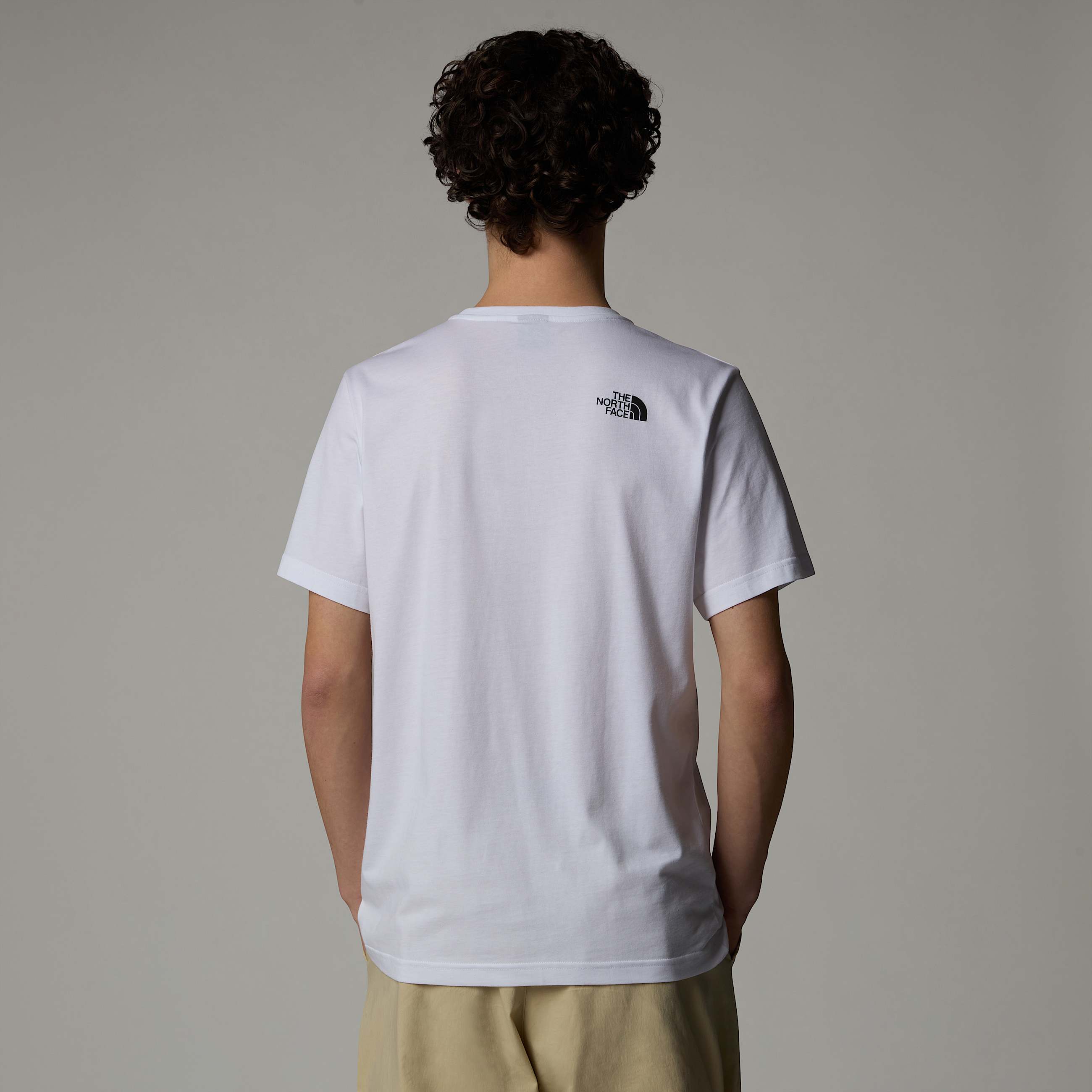 Mens Graphic Half Dome TShirt TNF ALT2