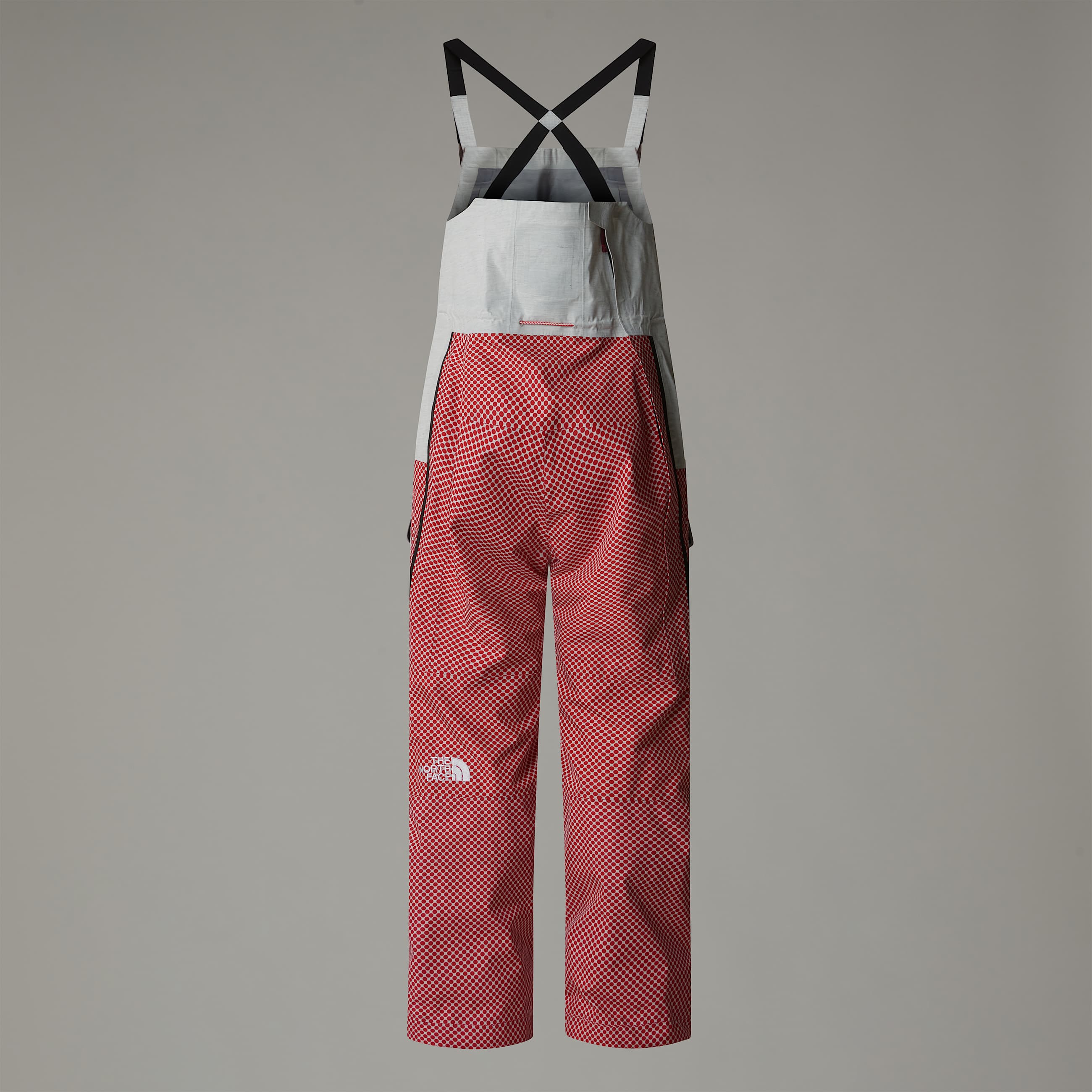 Salopette A68a DryVent Mono Shell TNF ALT1