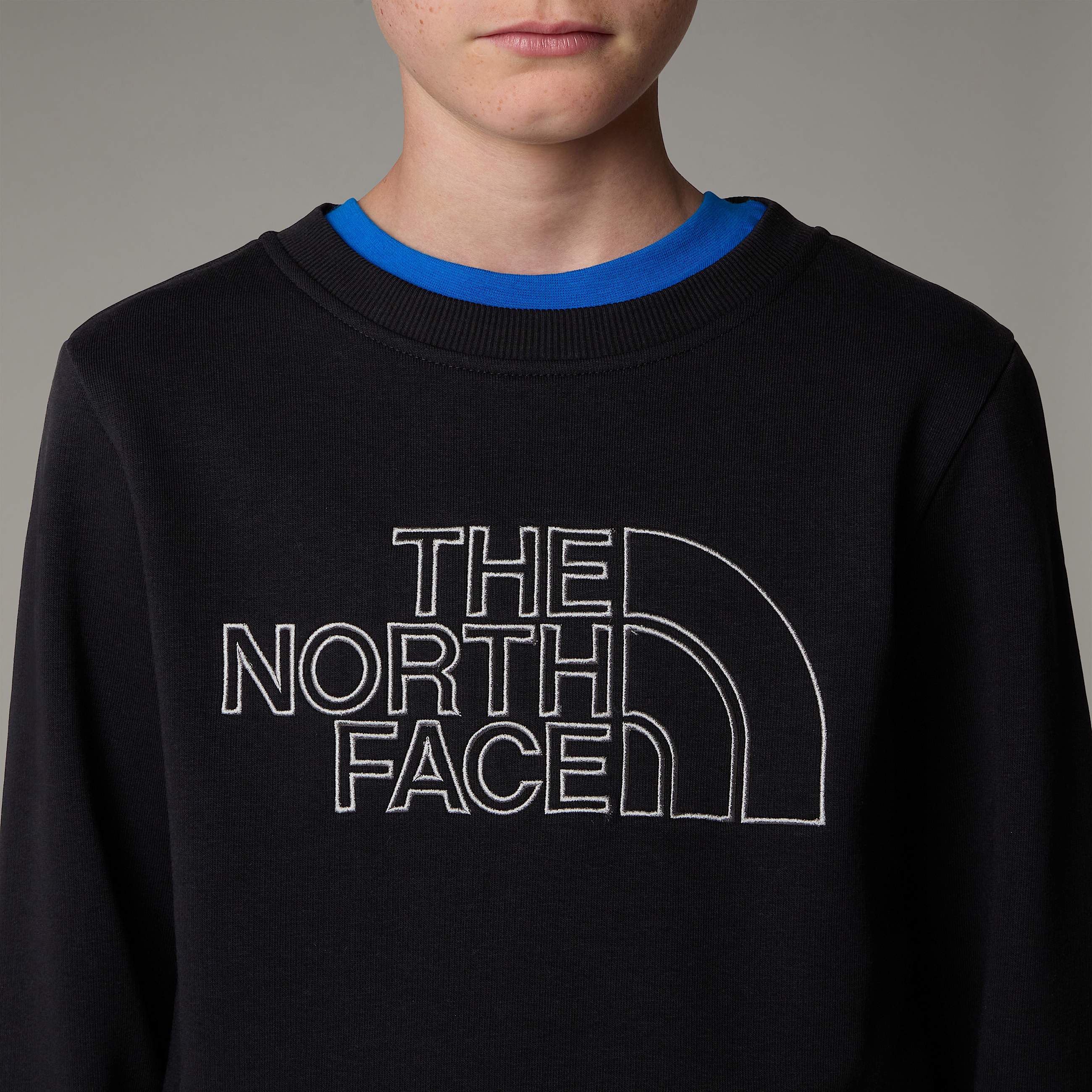 Drew Peak Crew Neck Sweatshirt Junior TNF ALT3