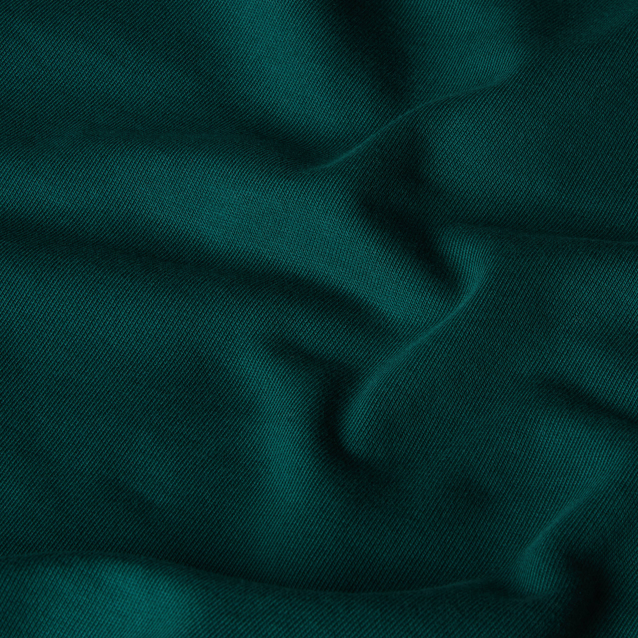 Mountain Jacket Anniversary TSweatshirt Relaxed TNF ALT18