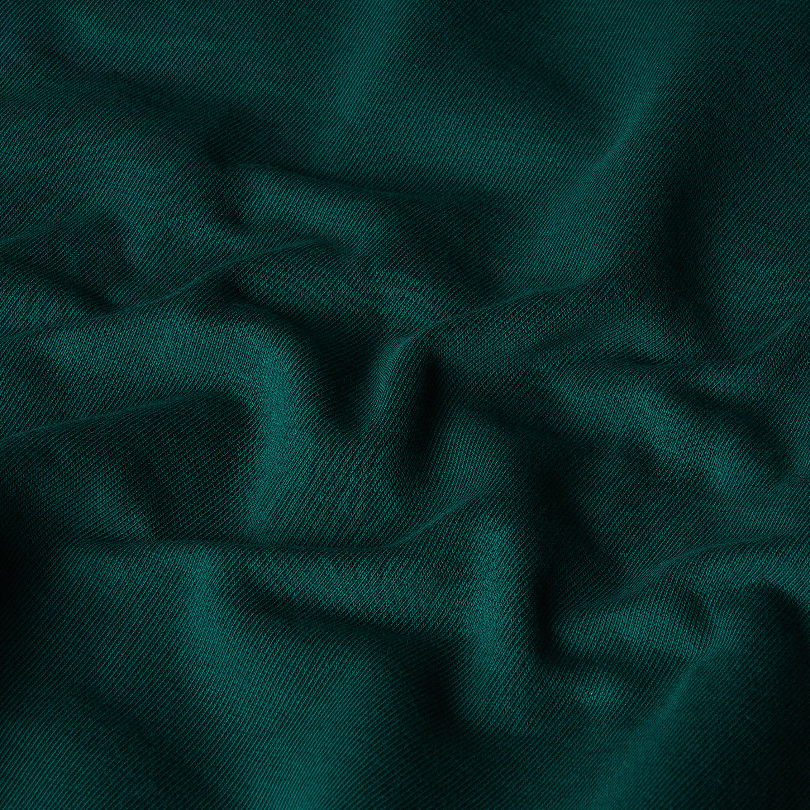 Felpa con cappuccio Mountain Jacket Anniversary Relaxed TNF ALT18