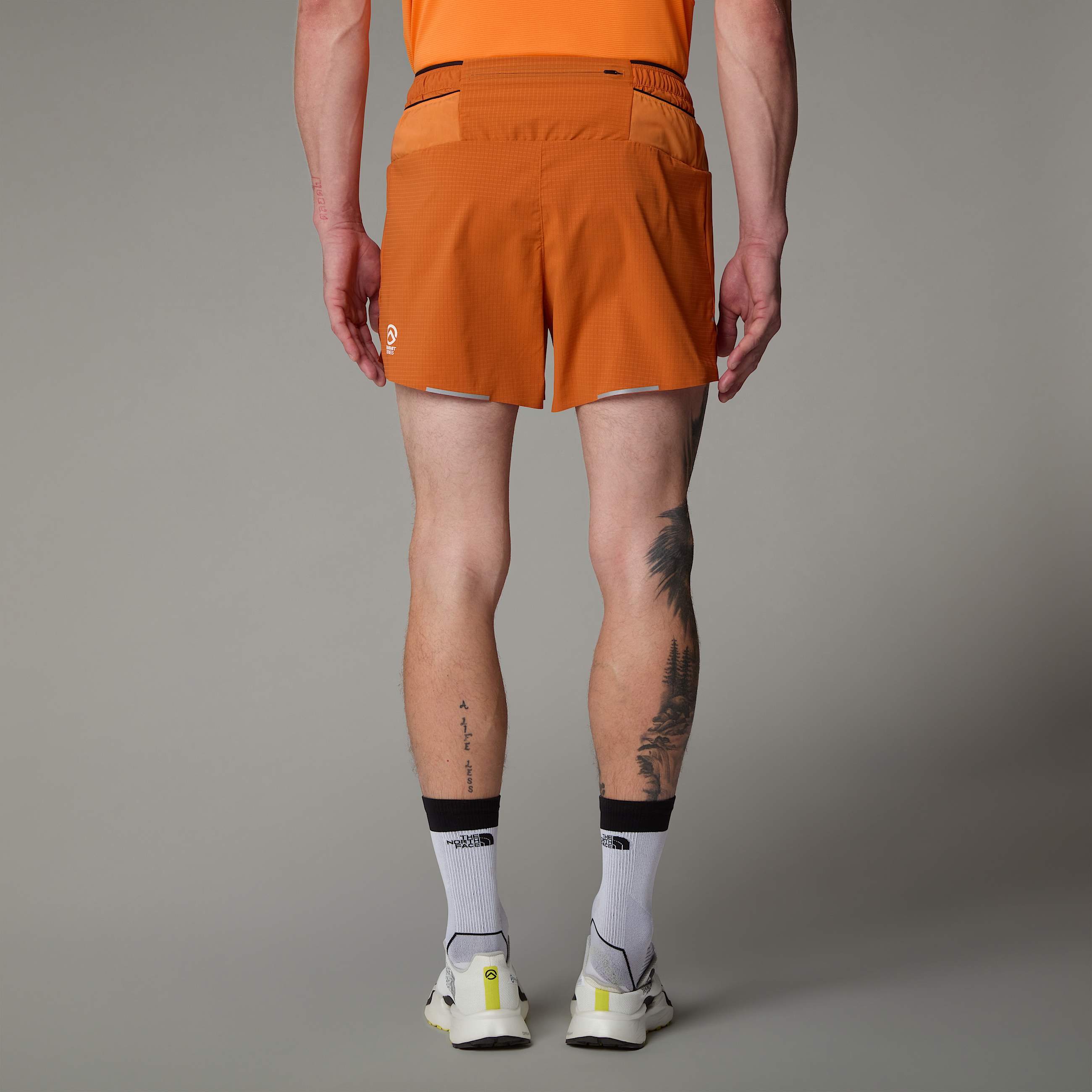 Pantaloncini Summit Pacesetter 5 da uomo TNF ALT3