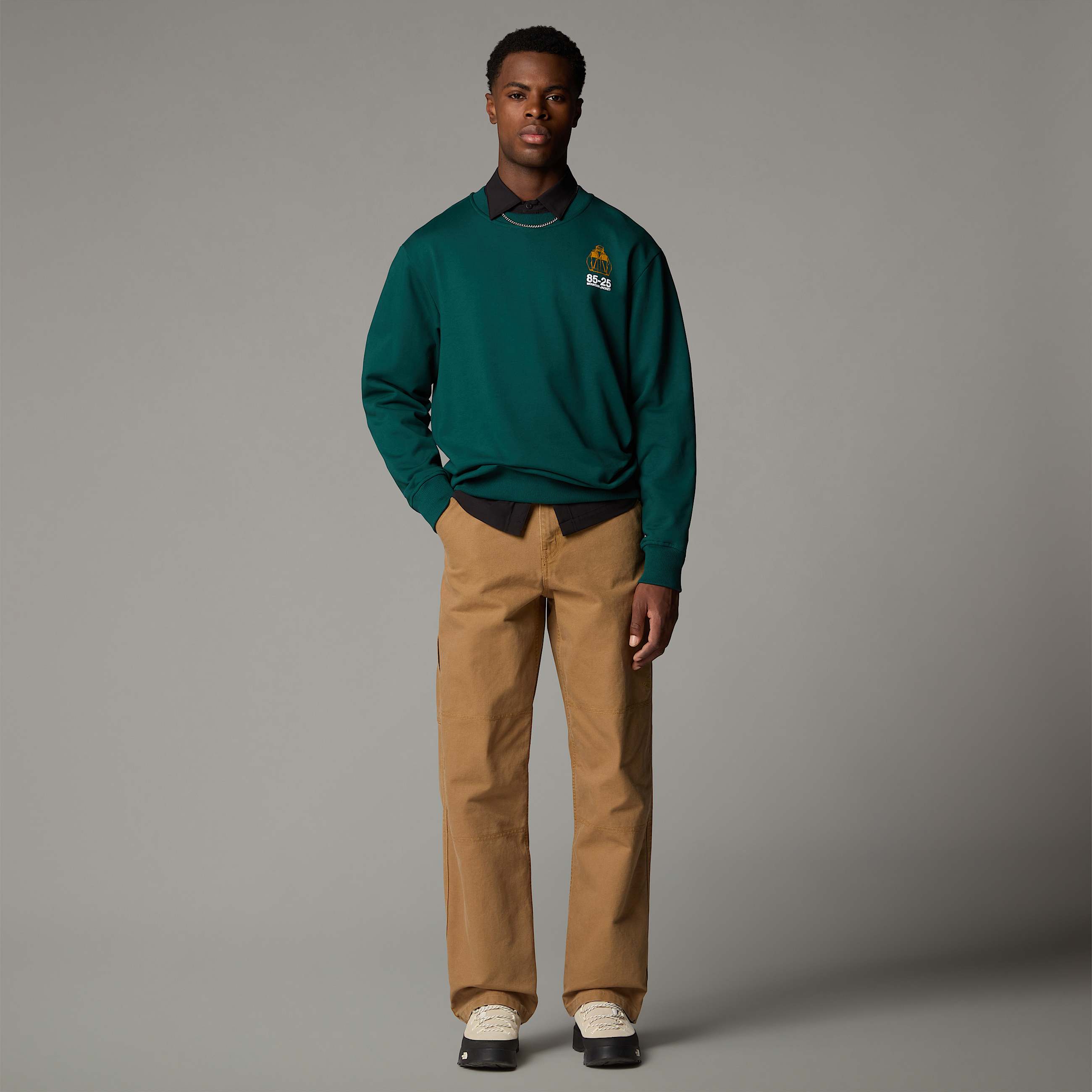 Mountain Jacket Anniversary TSweatshirt Relaxed TNF ALT4