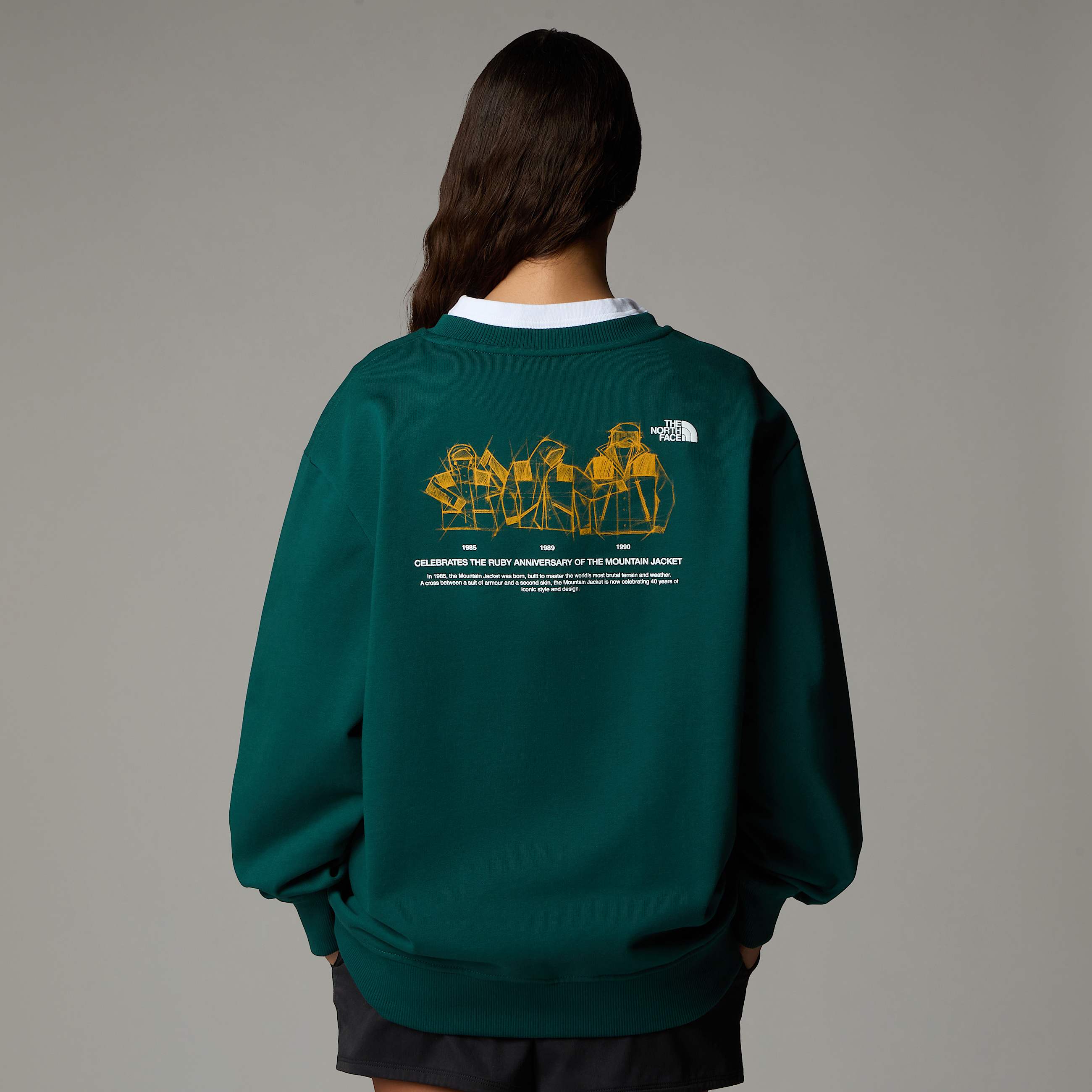 Felpa Mountain Jacket Anniversary Relaxed TNF ALT6