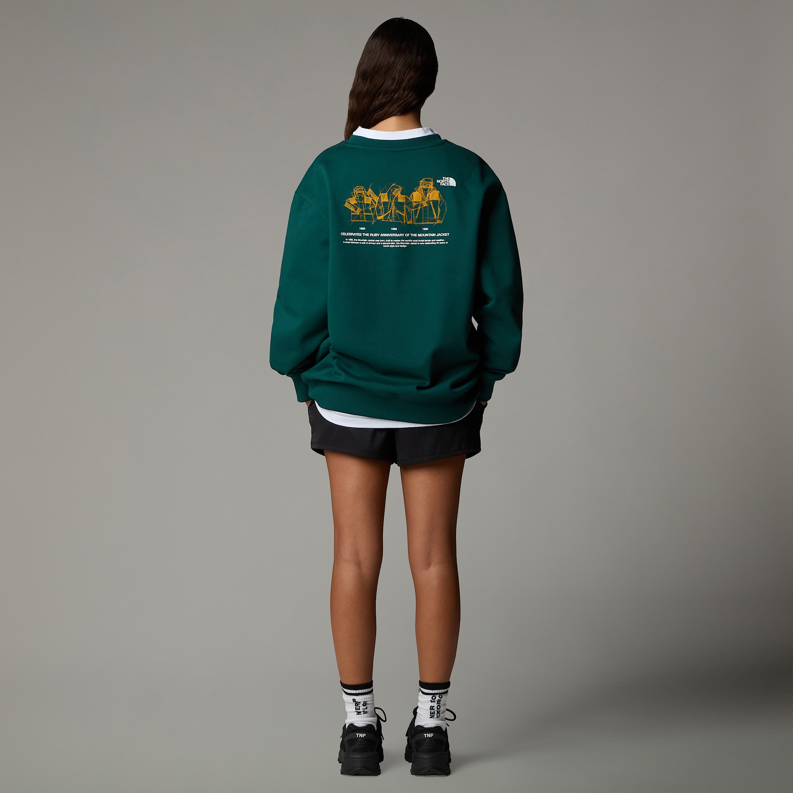 Felpa Mountain Jacket Anniversary Relaxed TNF ALT8