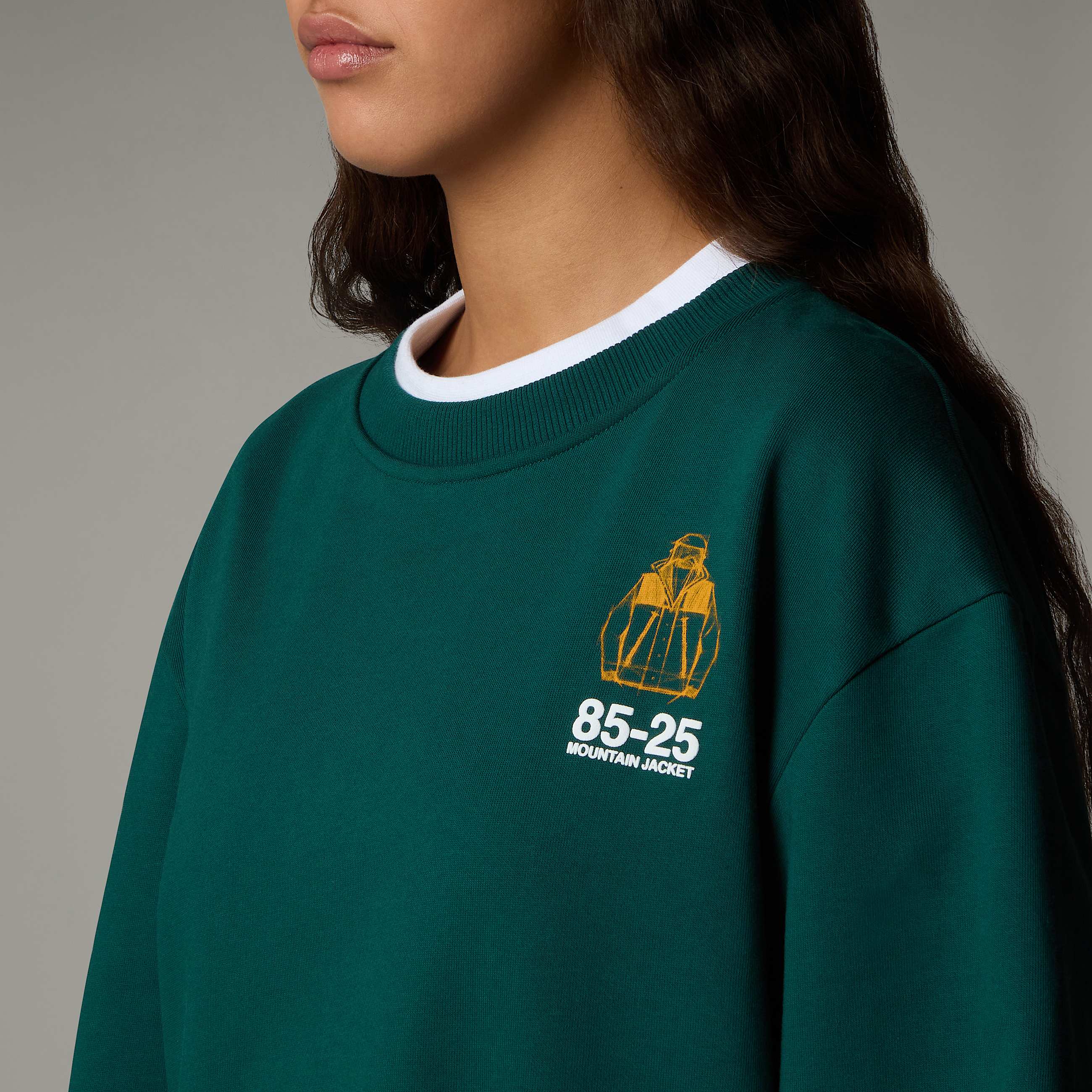 Mountain Jacket Anniversary TSweatshirt Relaxed TNF ALT9