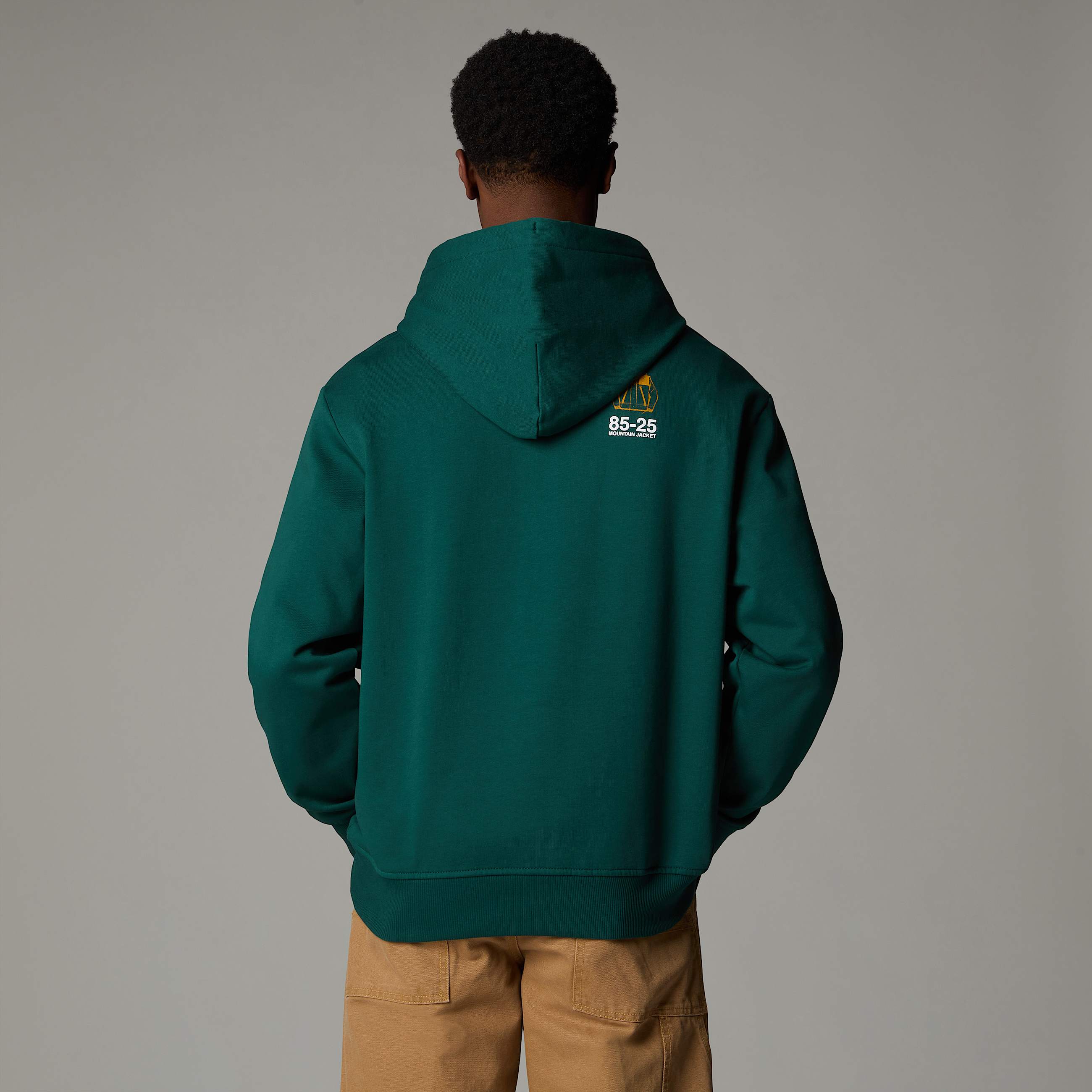 Felpa con cappuccio Mountain Jacket Anniversary Relaxed TNF ALT4