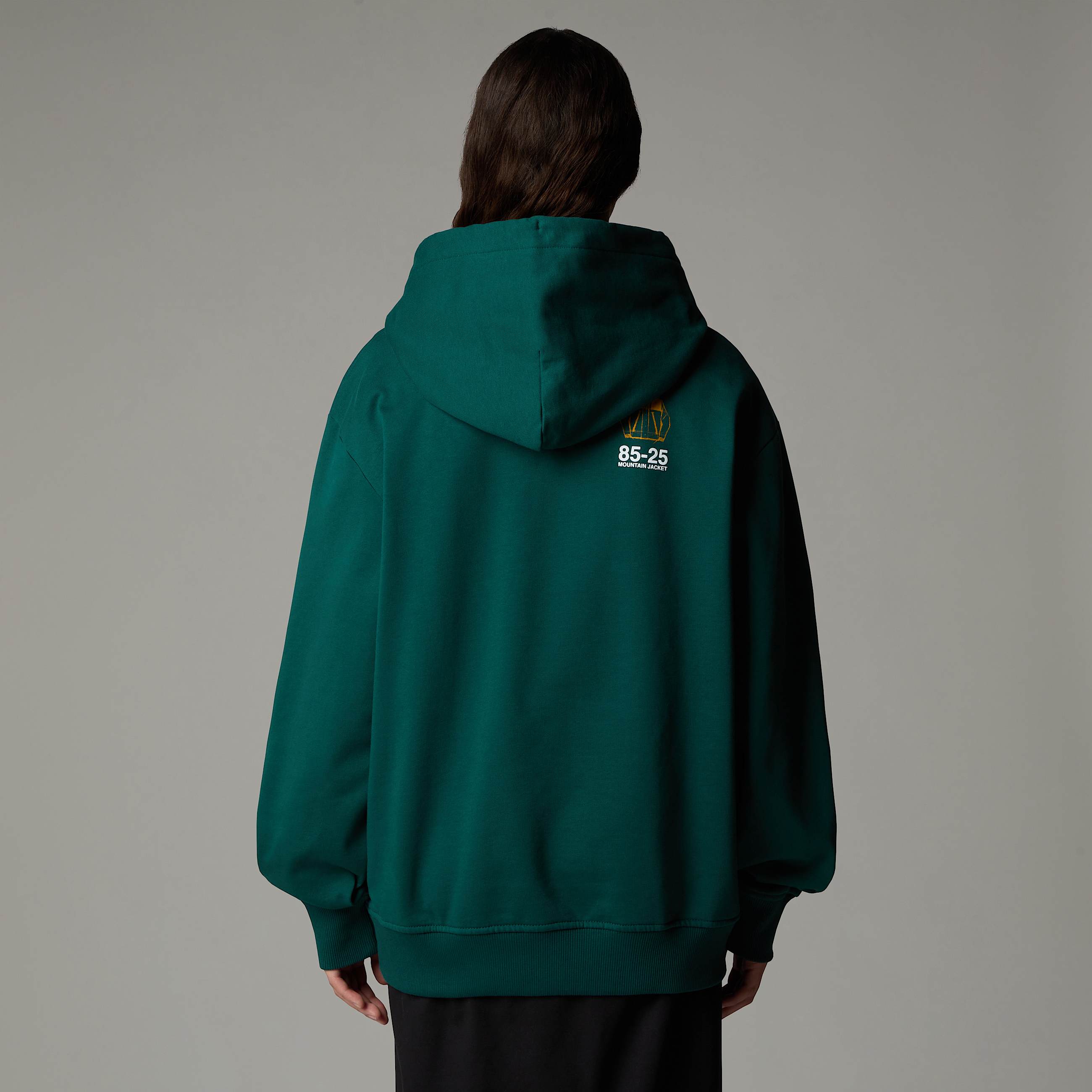 Felpa con cappuccio Mountain Jacket Anniversary Relaxed TNF ALT10