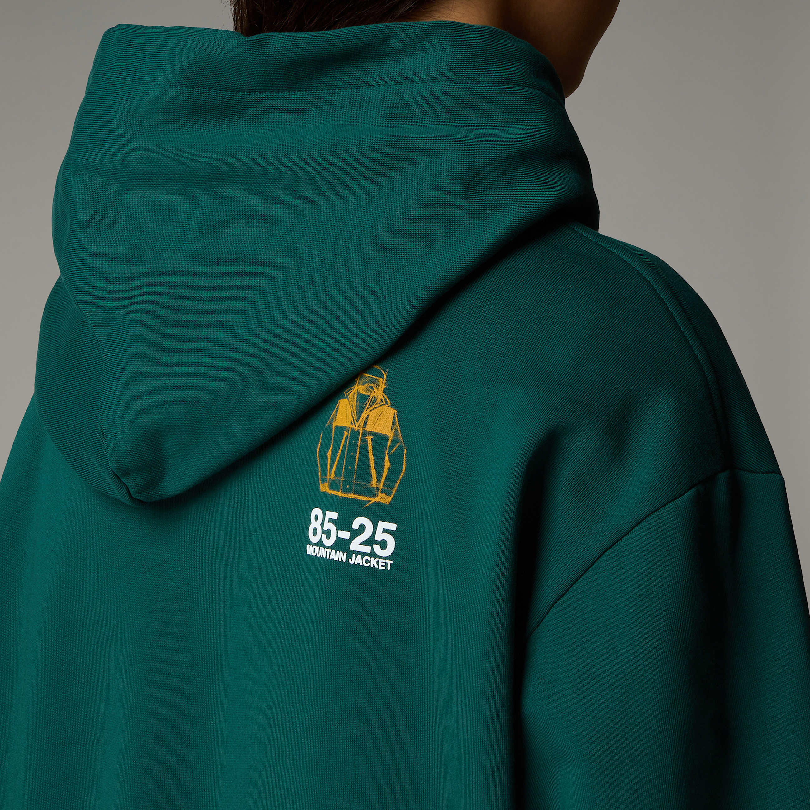 Felpa con cappuccio Mountain Jacket Anniversary Relaxed TNF ALT12