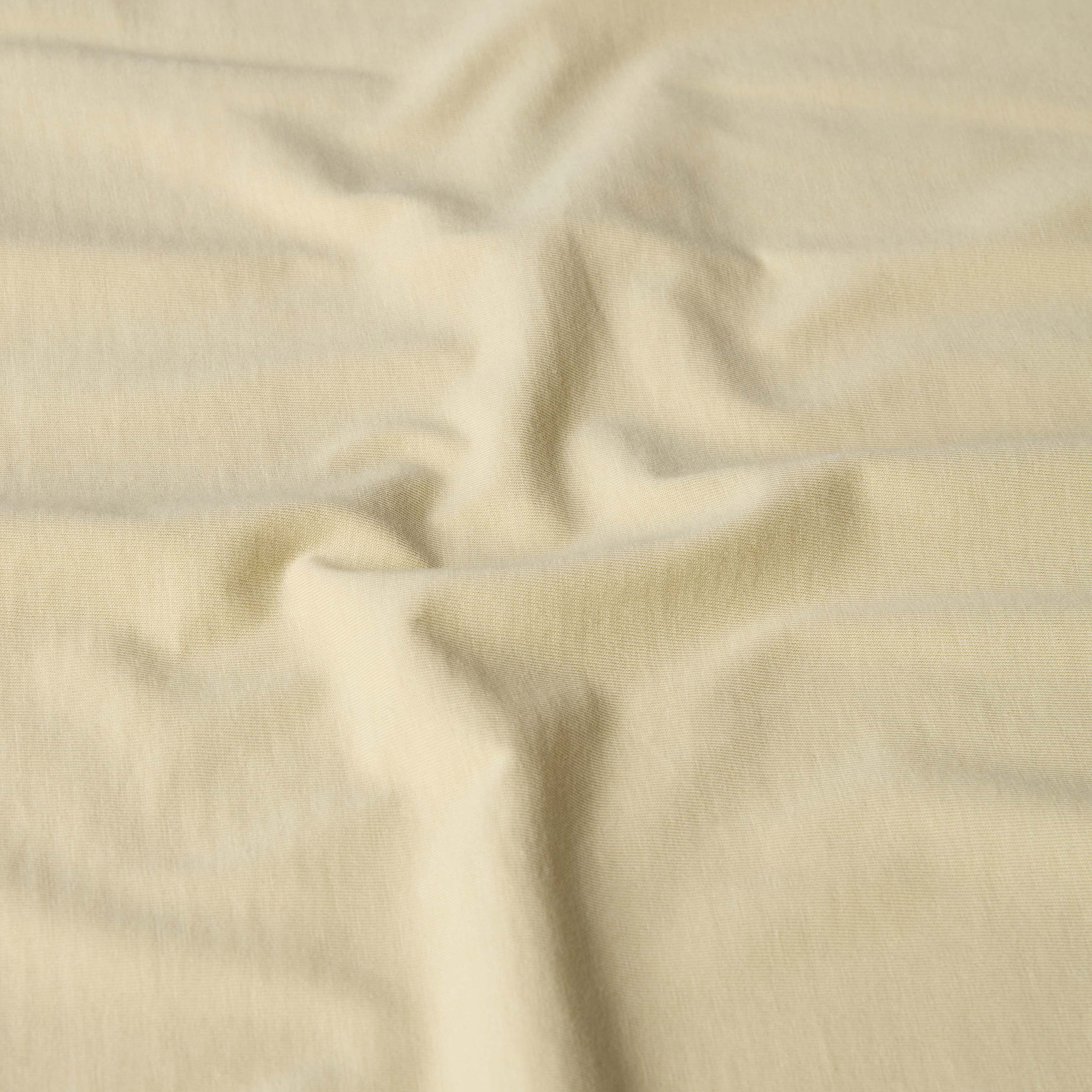 Tshirt con logo Cartoon rilassata TNF ALT18