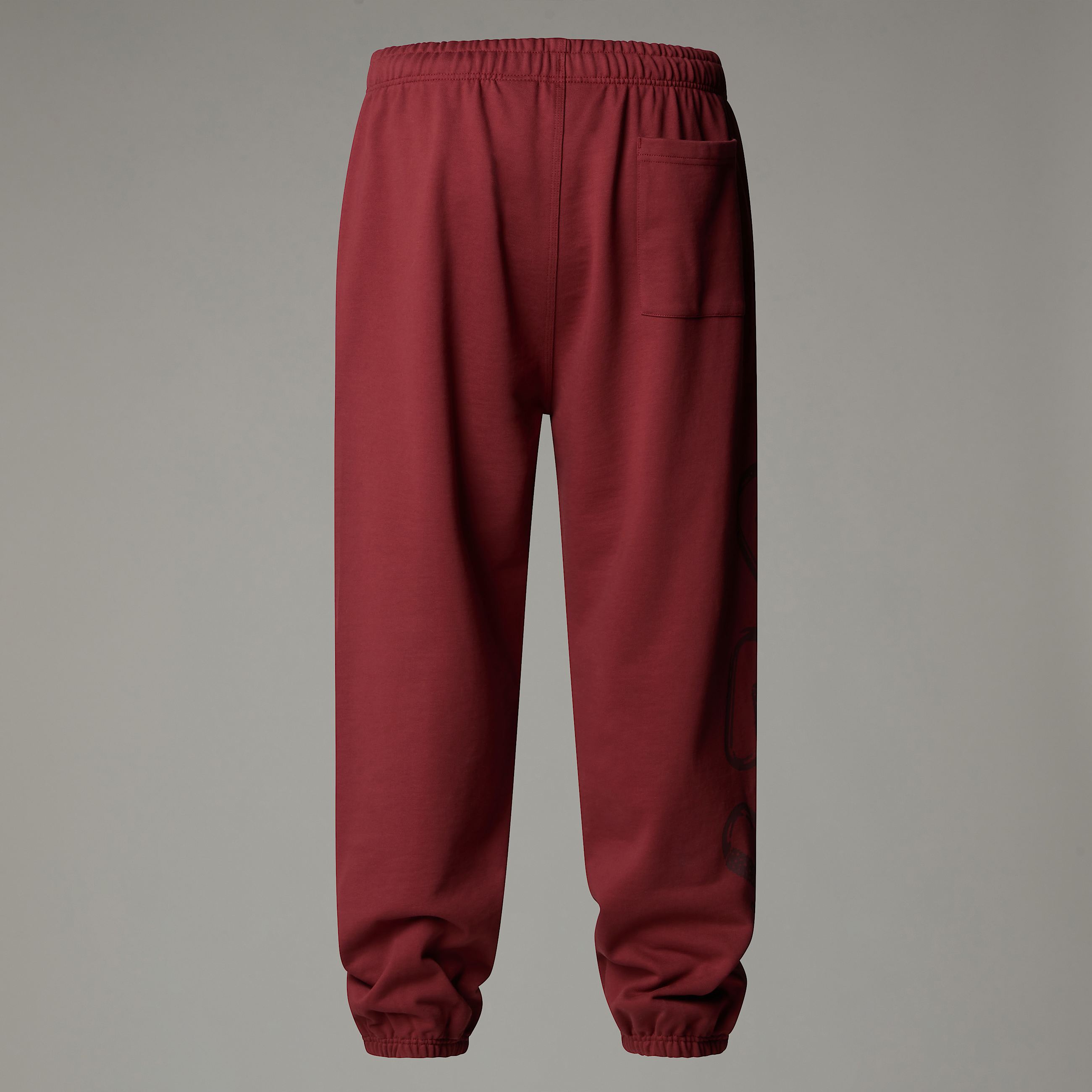 Joggers NSE Relaxed unisex TNF ALT21