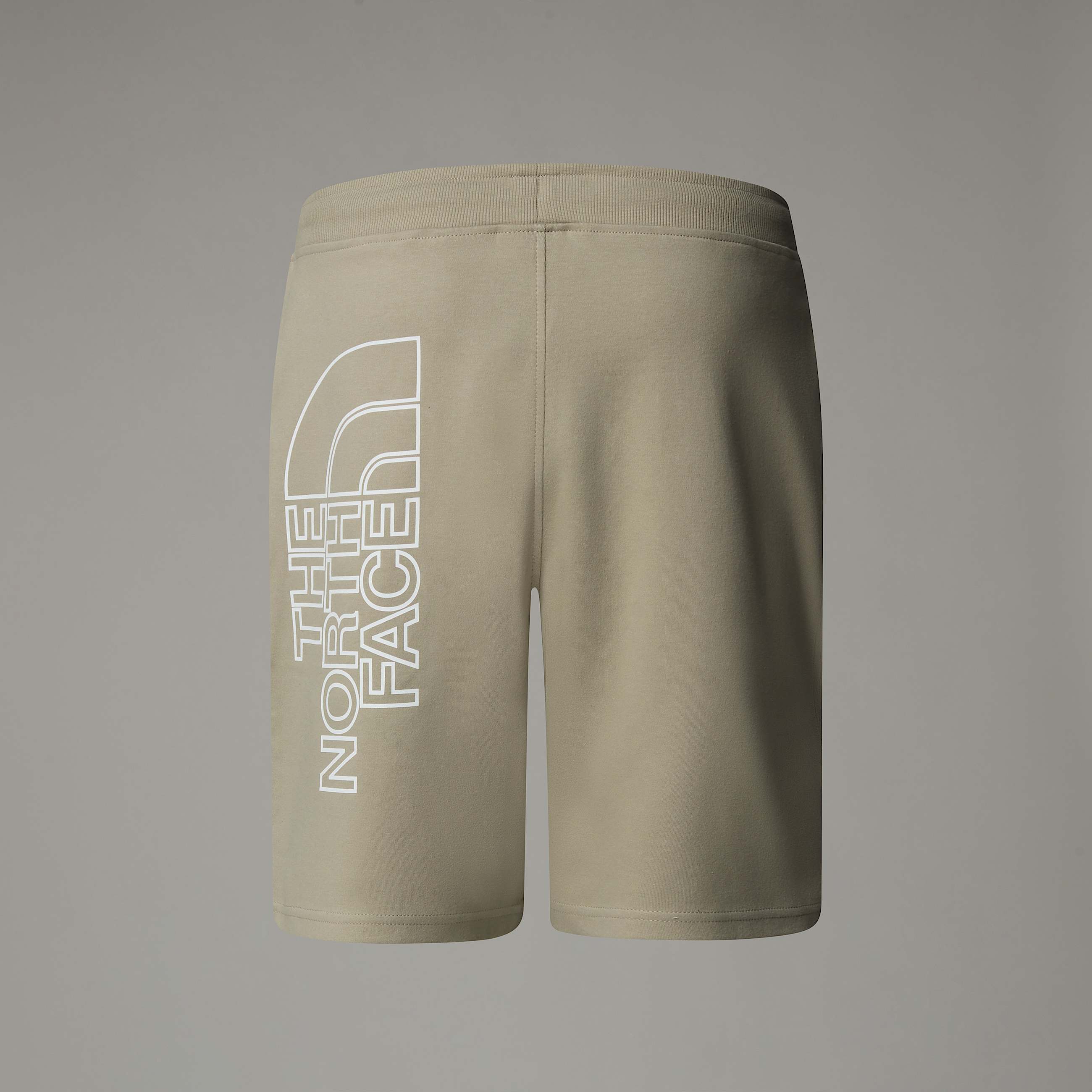 Graphic Light Shorts fr Herren TNF ALT1