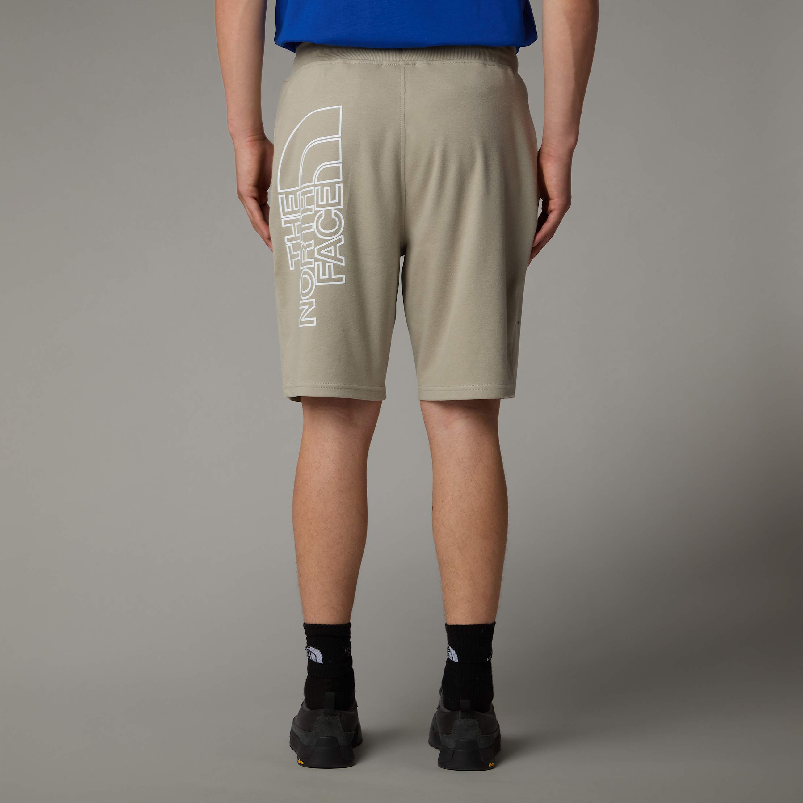 Graphic Light Shorts fr Herren TNF ALT5