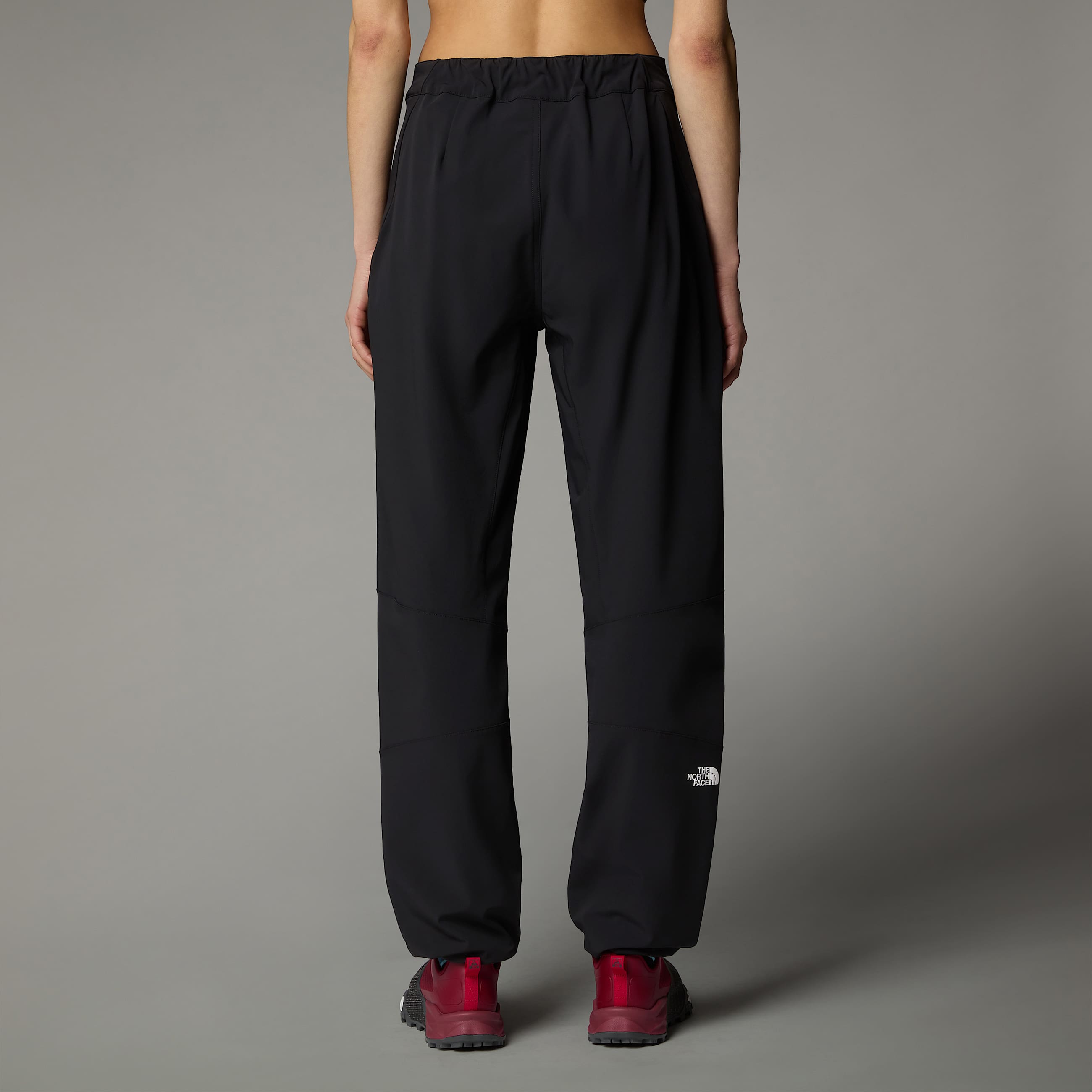 Womens Alpine Ridge Regular Straight Trousers TNF ALT5