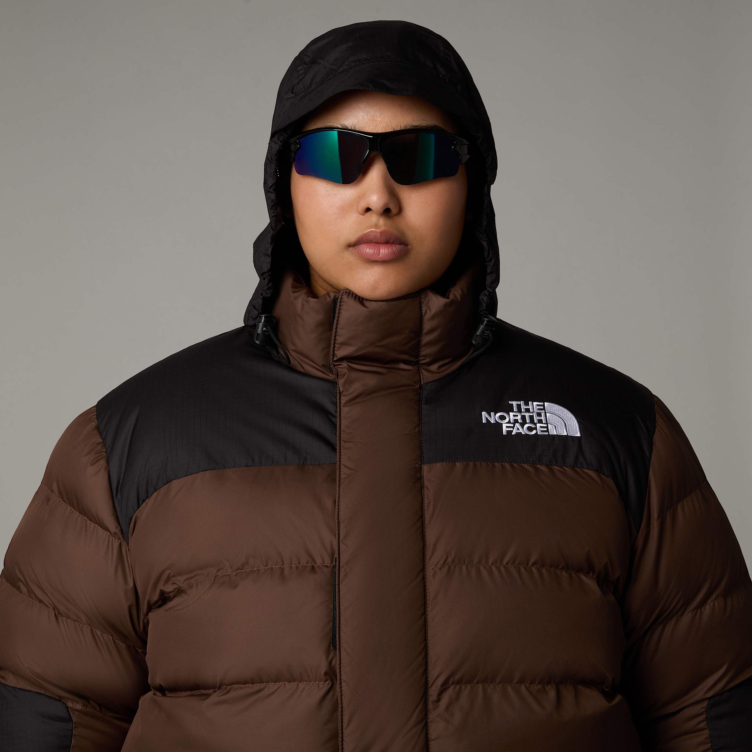 Womens Plus Size Limbara Insulated Jacket TNF ALT6