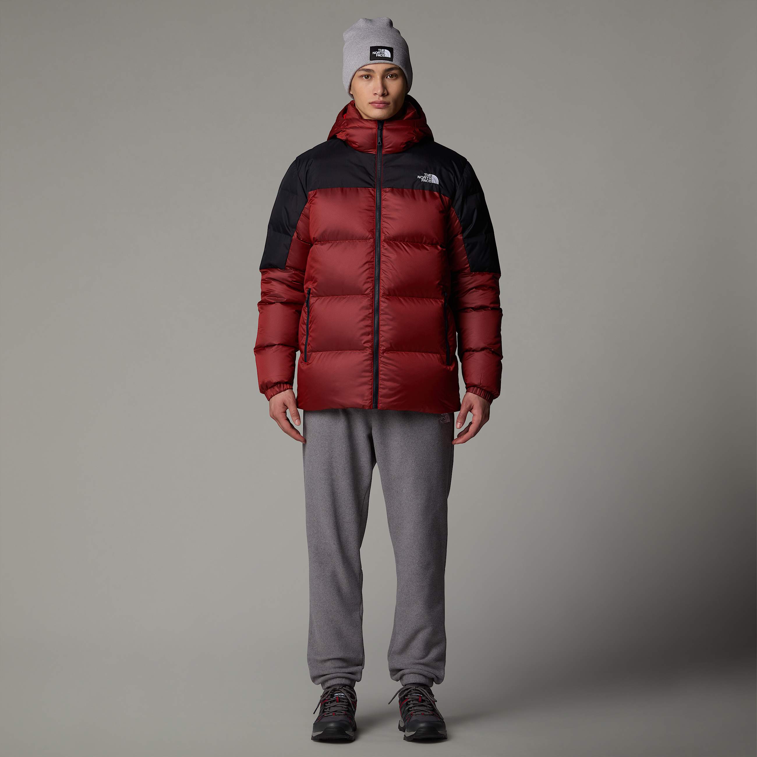 Mens Diablo Down 20 Hooded Jacket TNF ALT3