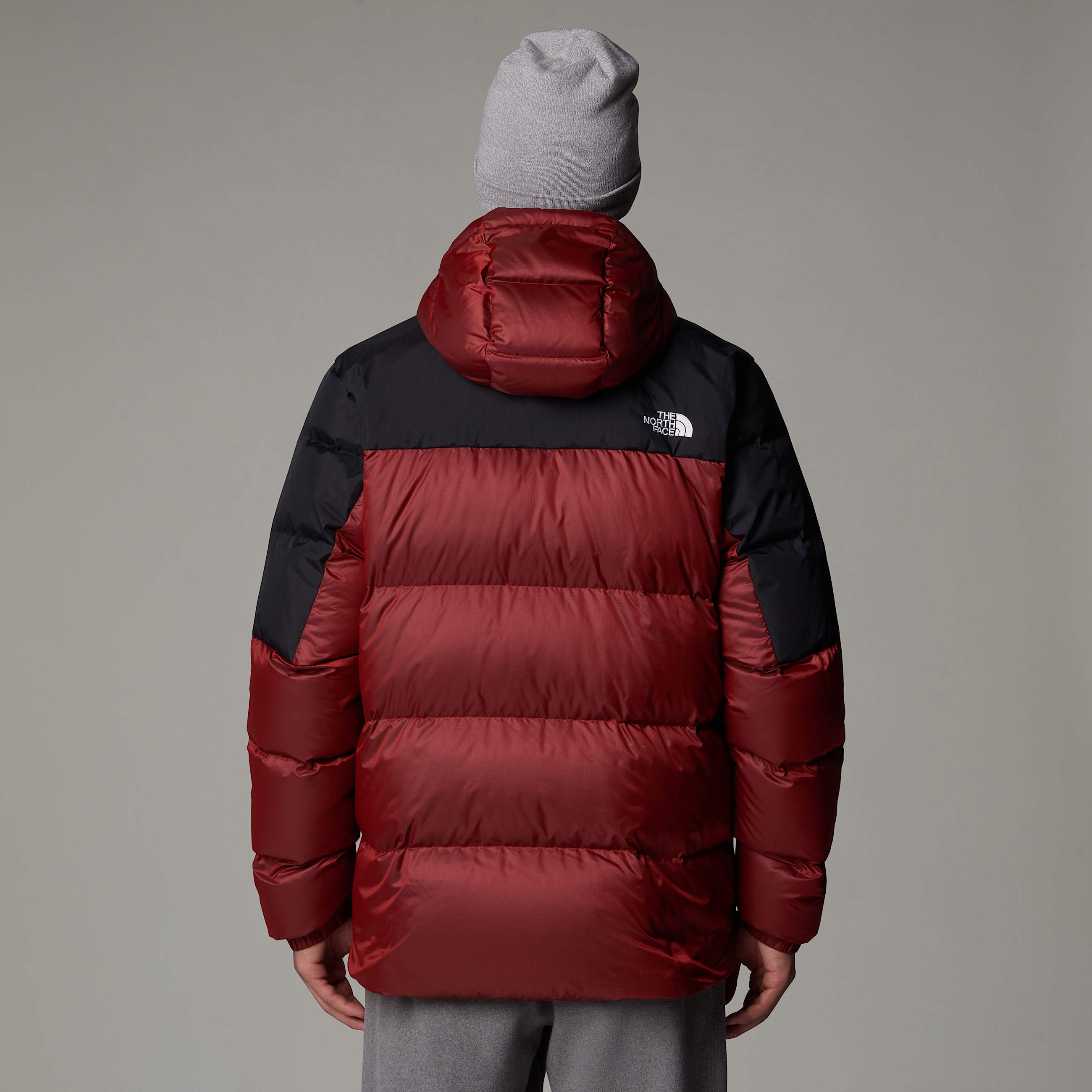 Mens Diablo Down 20 Hooded Jacket TNF ALT4