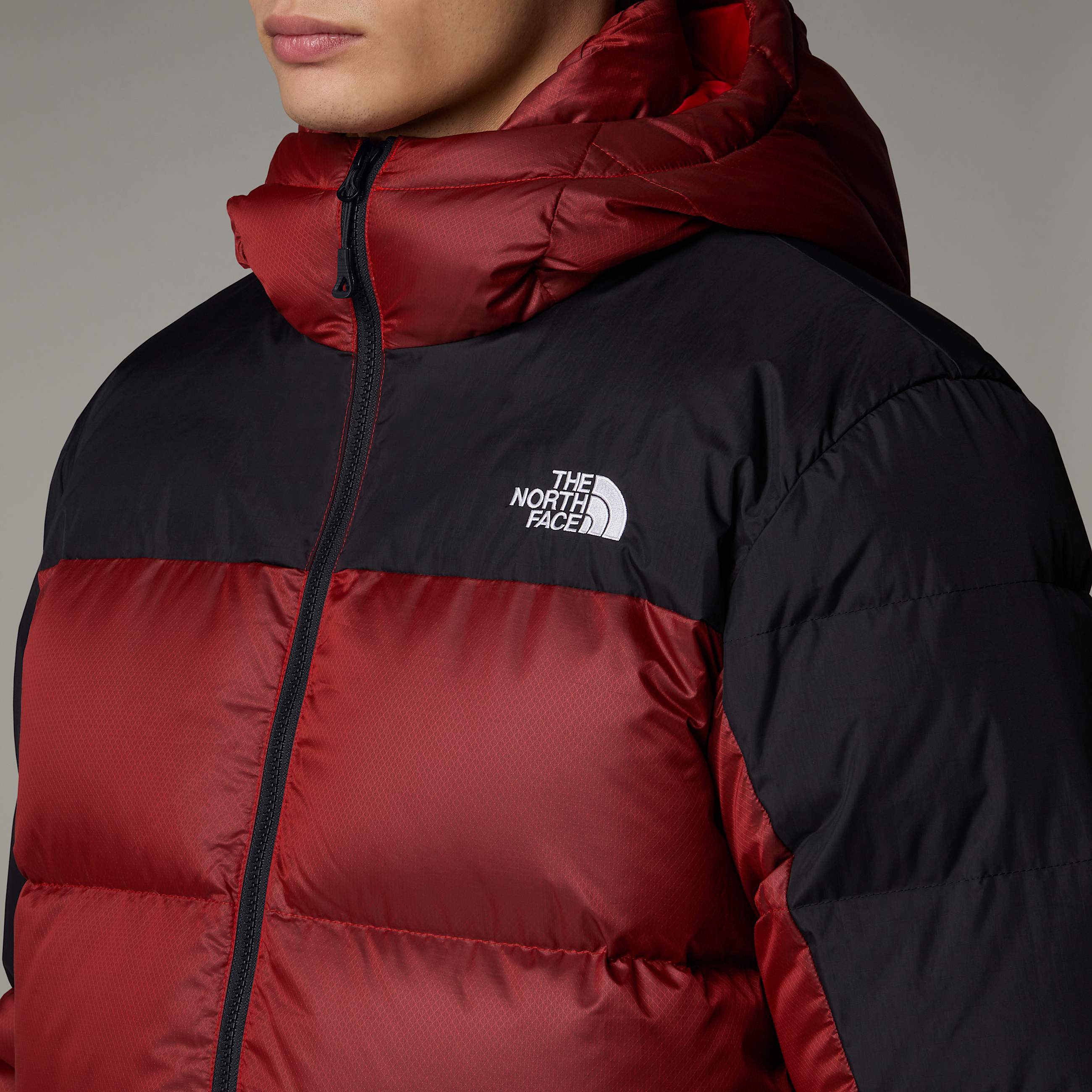 Mens Diablo Down 20 Hooded Jacket TNF ALT8