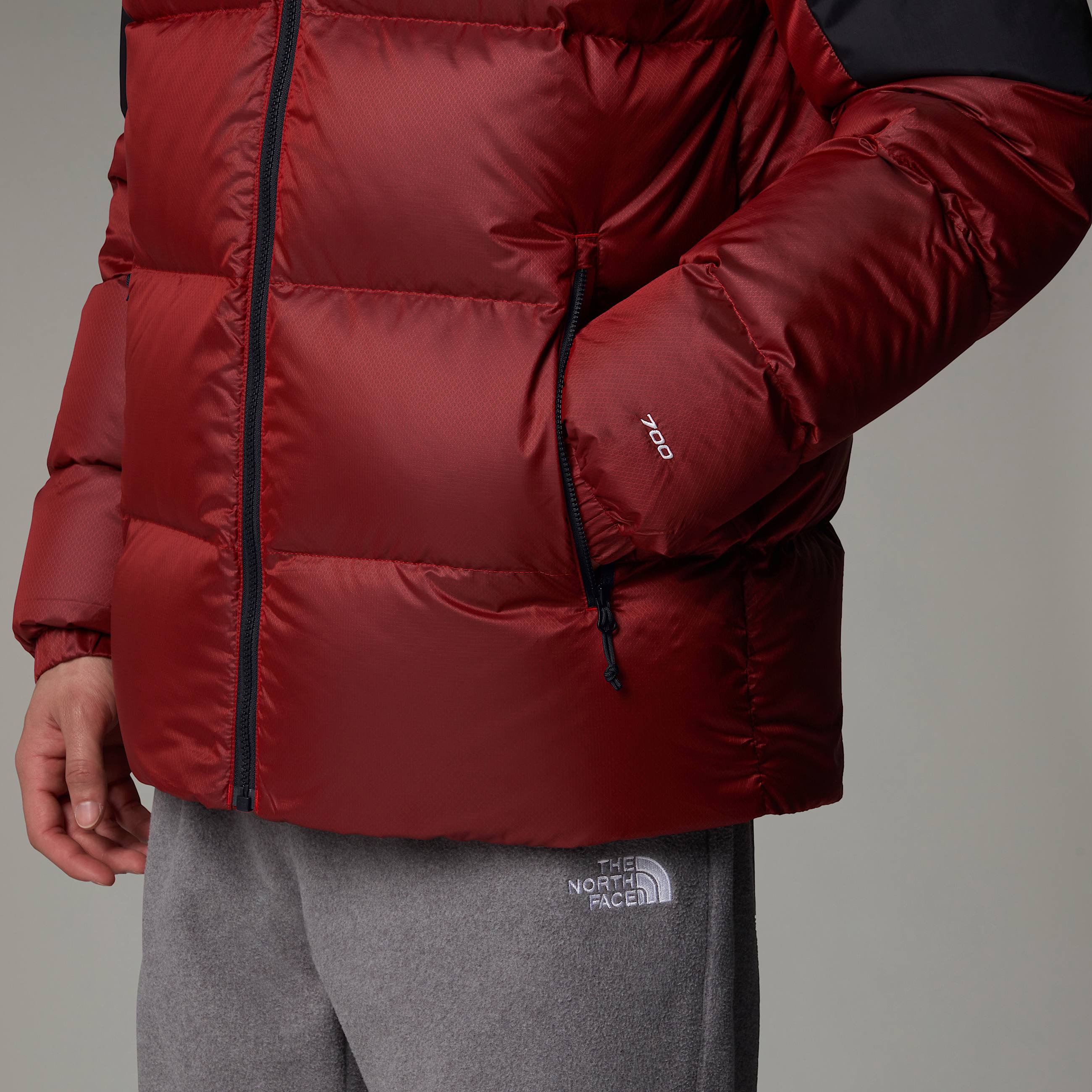 Mens Diablo Down 20 Hooded Jacket TNF ALT9