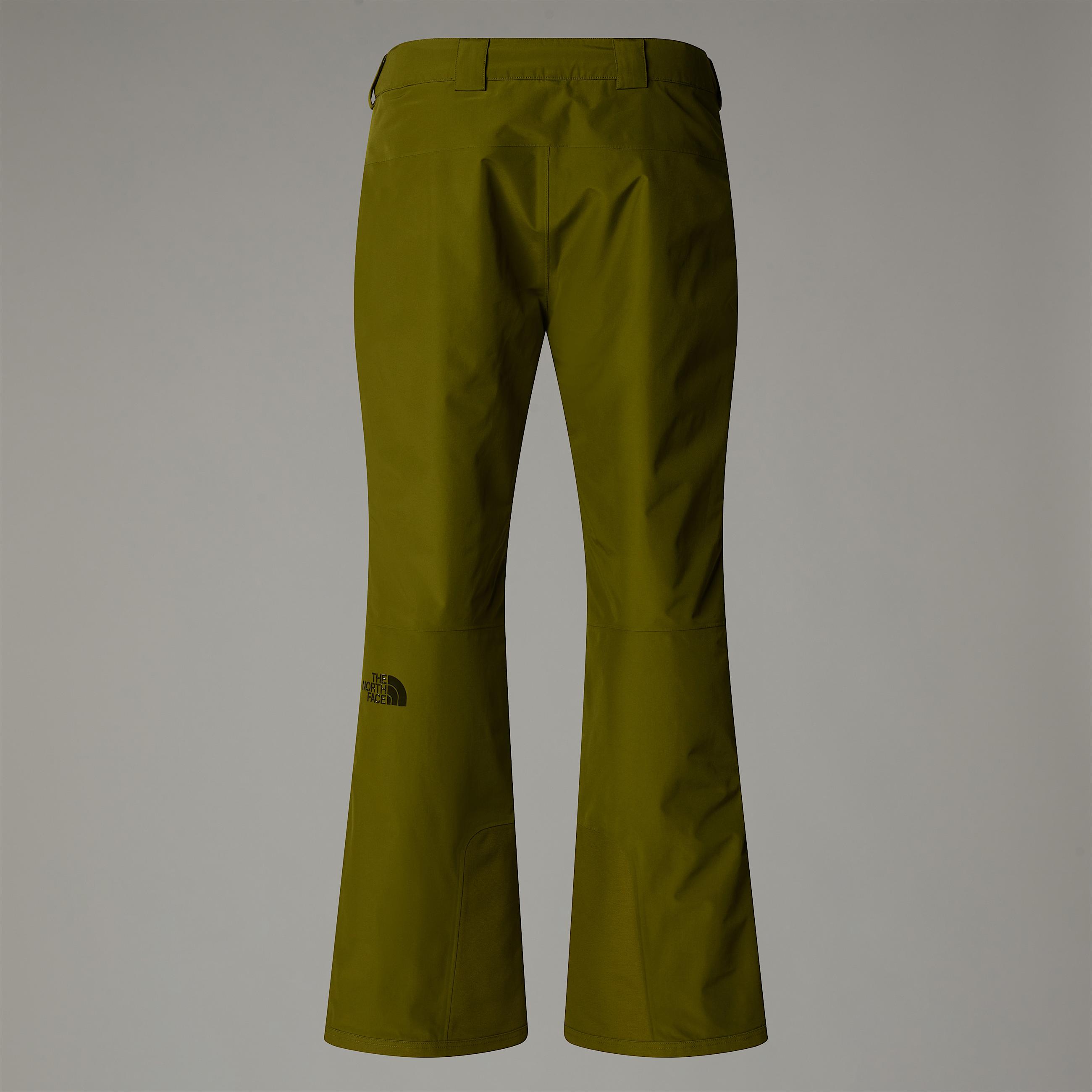 Descendit Hose fr Herren TNF ALT1