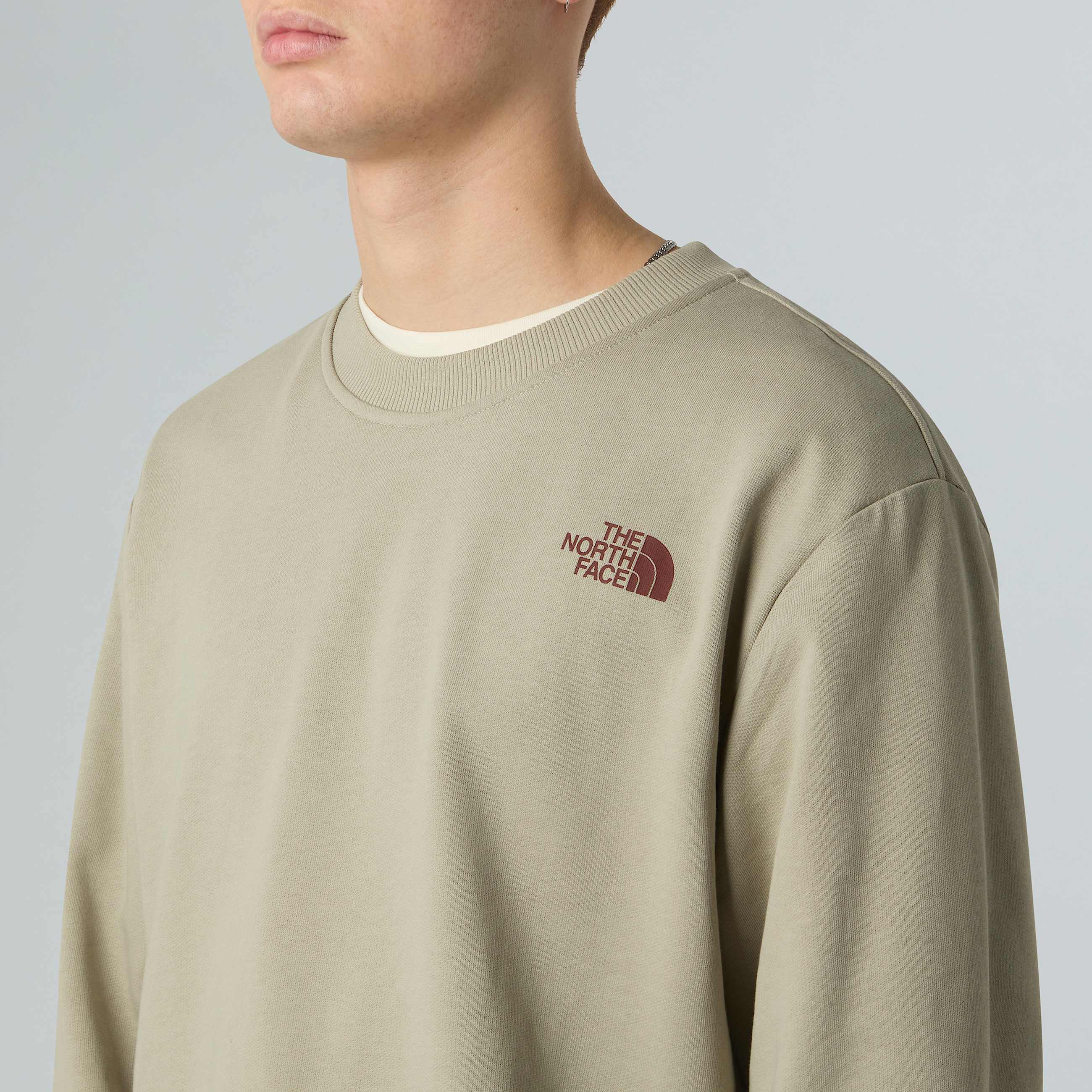 Felpa Vintage Postcard Relaxed unisex TNF ALT5