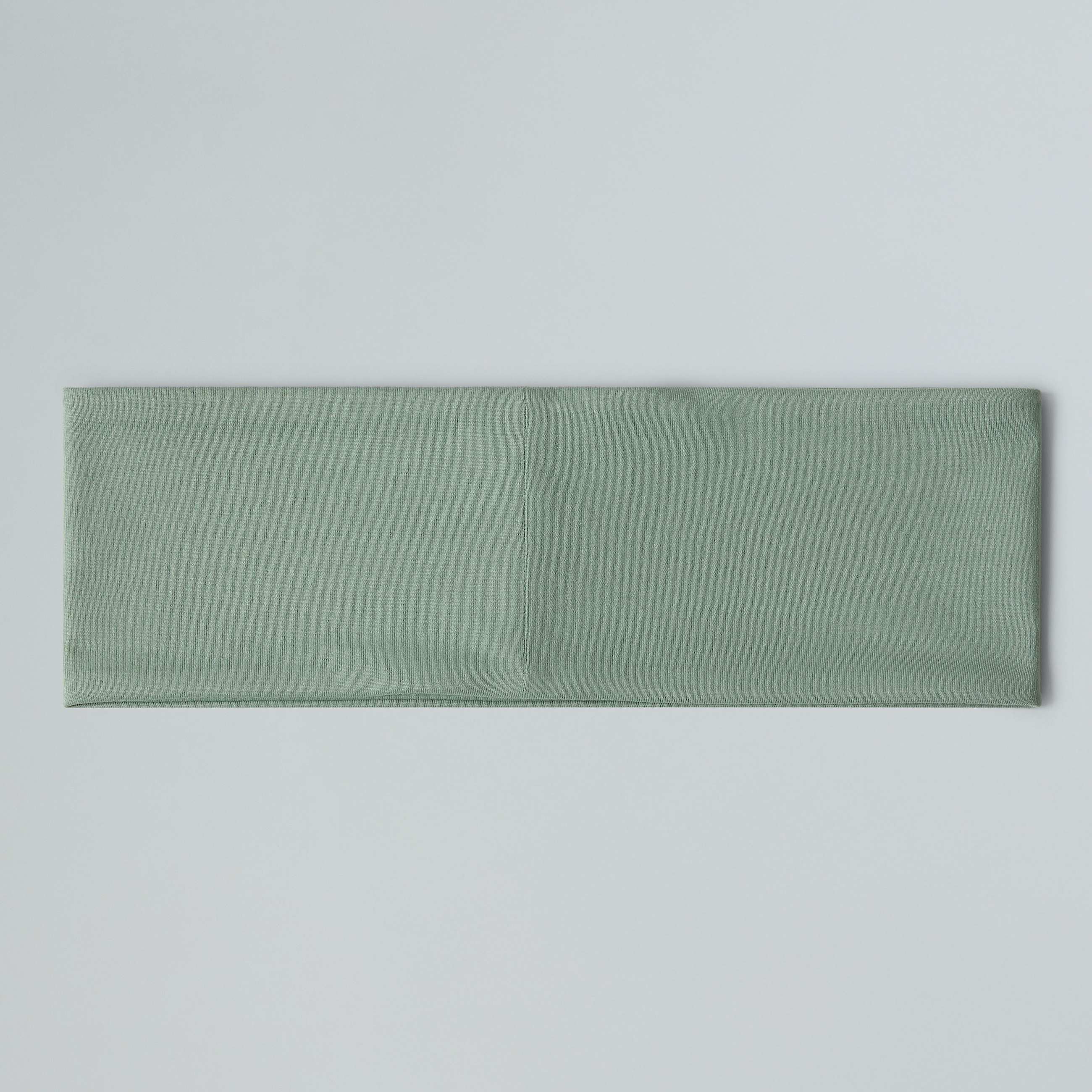 Base Headband TNF ALT2