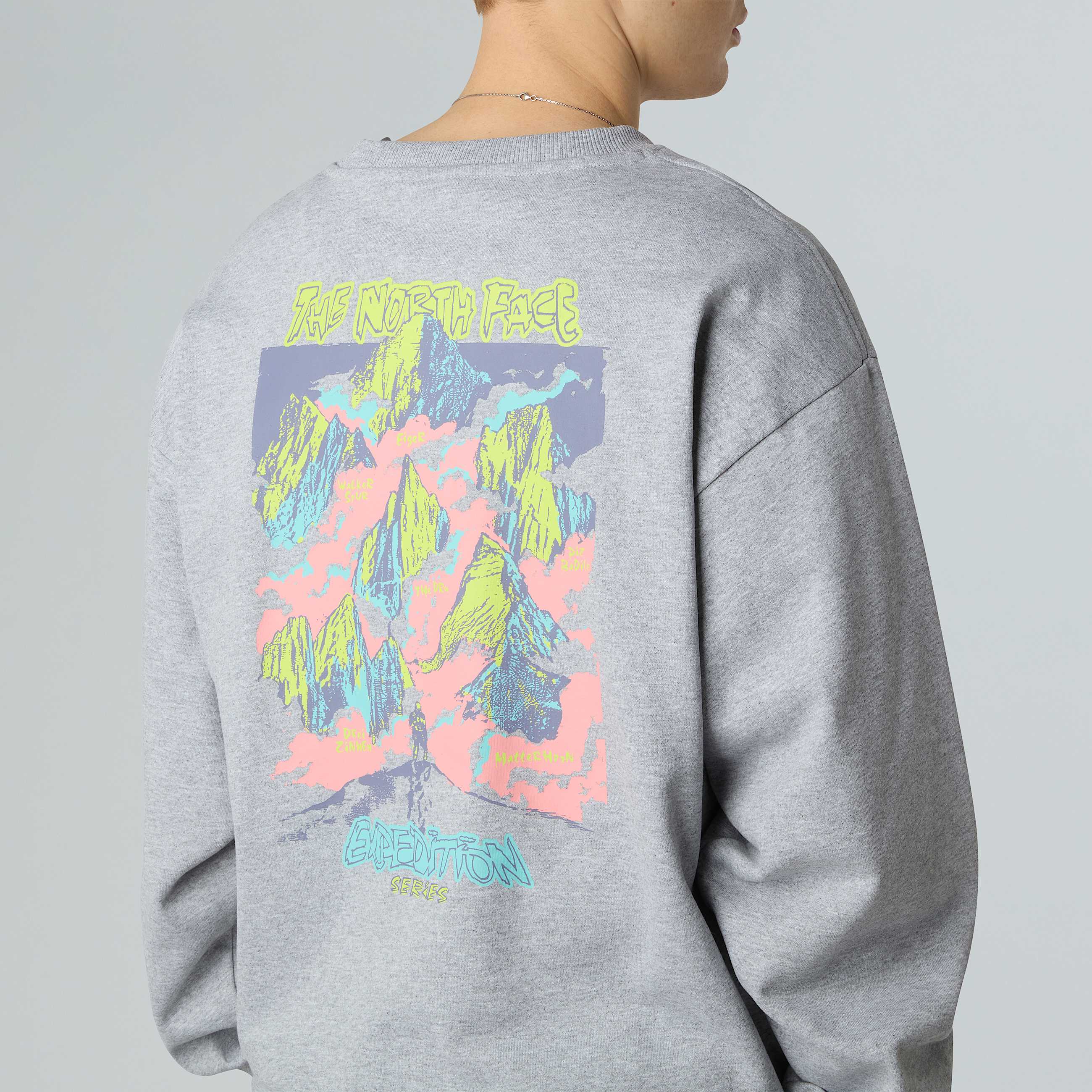 Expedition Celebration Oversized Sweatshirt Unisex TNF ALT5
