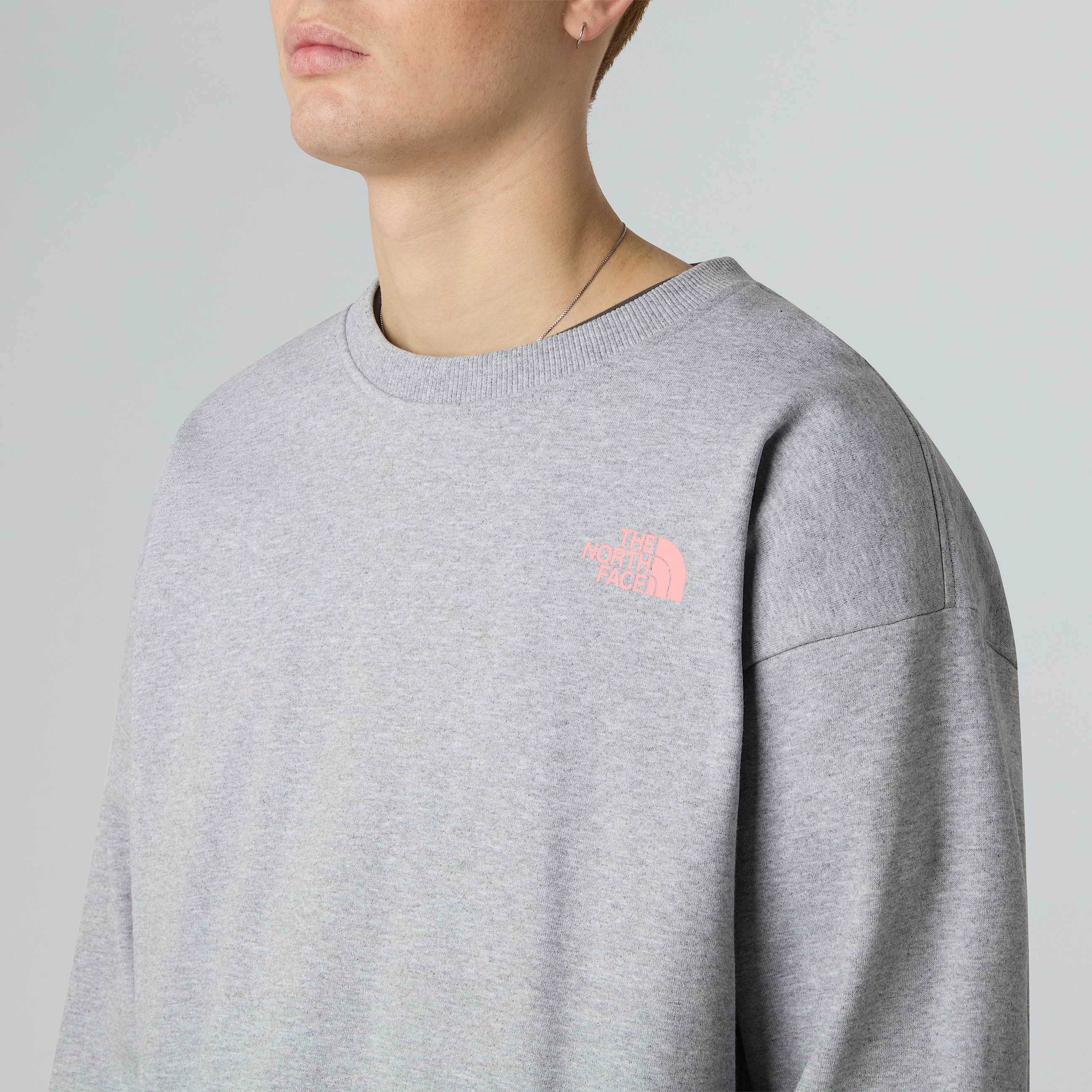 Felpa oversize Expedition Celebration unisex TNF ALT6