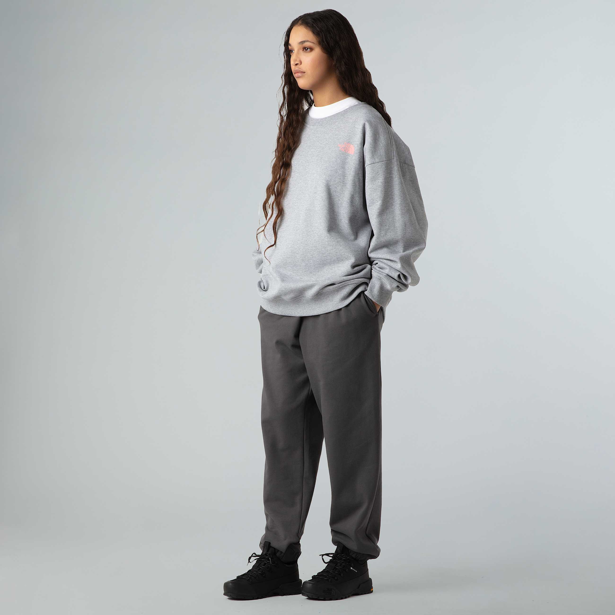 Felpa oversize Expedition Celebration unisex TNF ALT9
