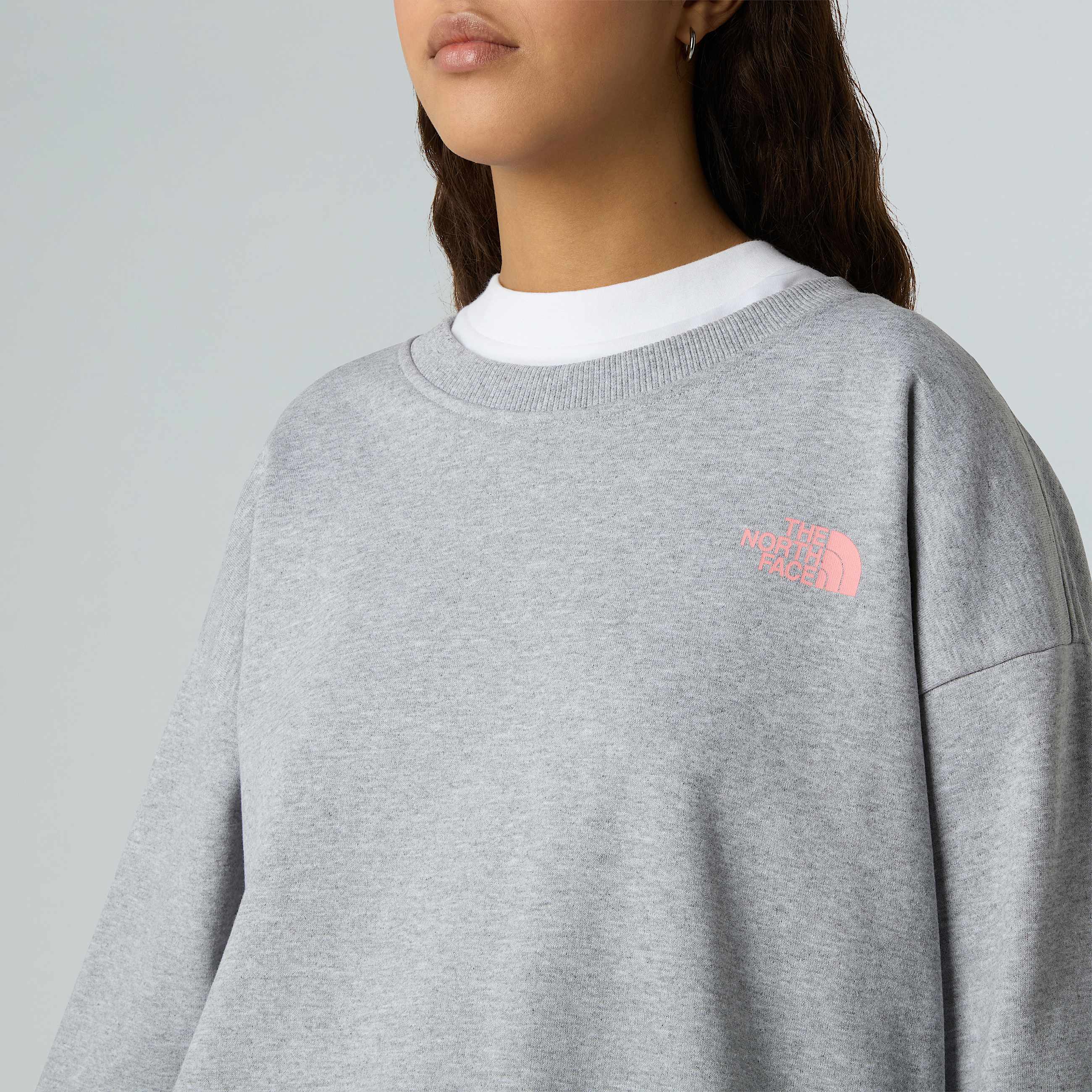 Felpa oversize Expedition Celebration unisex TNF ALT10