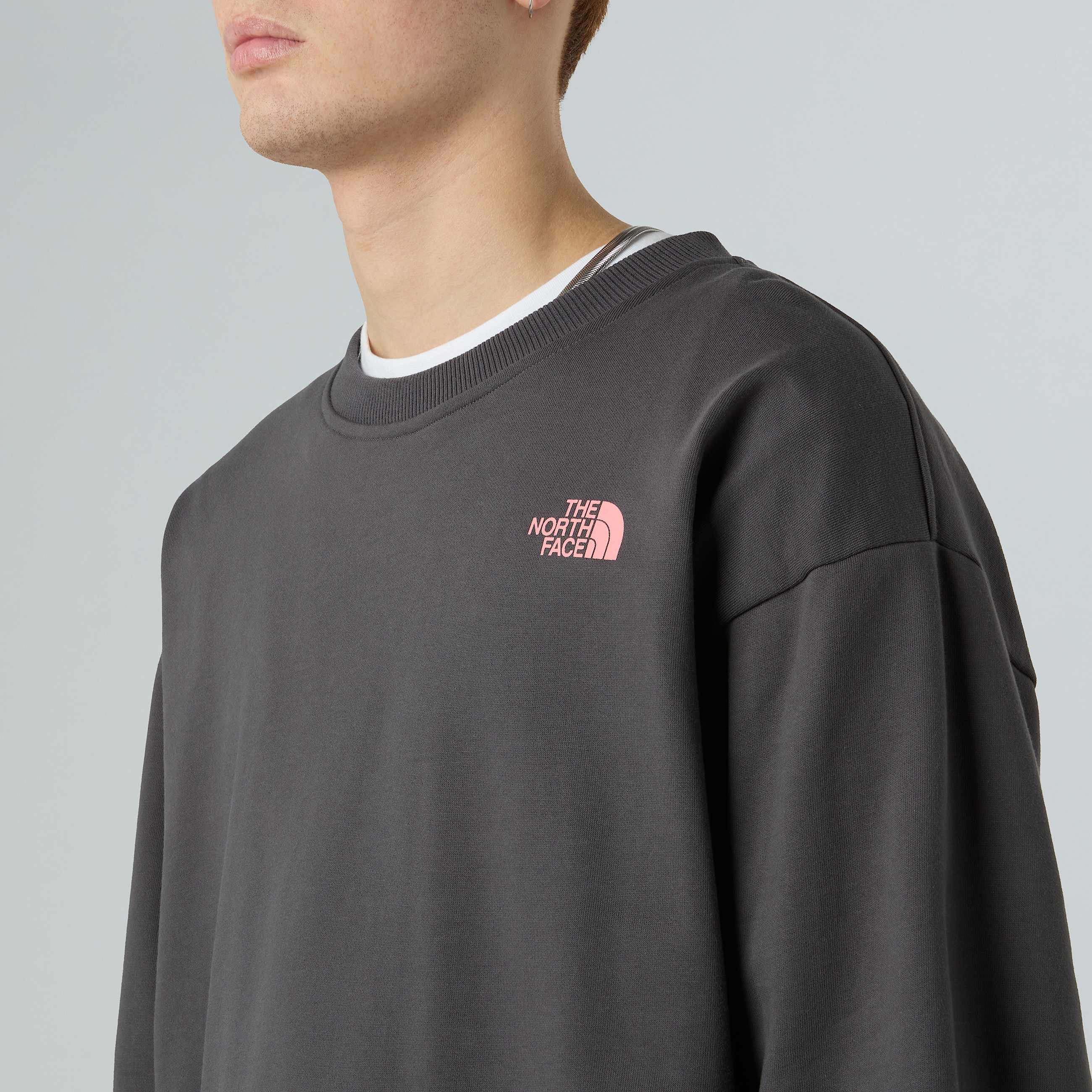 Unisex Expedition Celebration Oversized Sweatshirt TNF ALT5