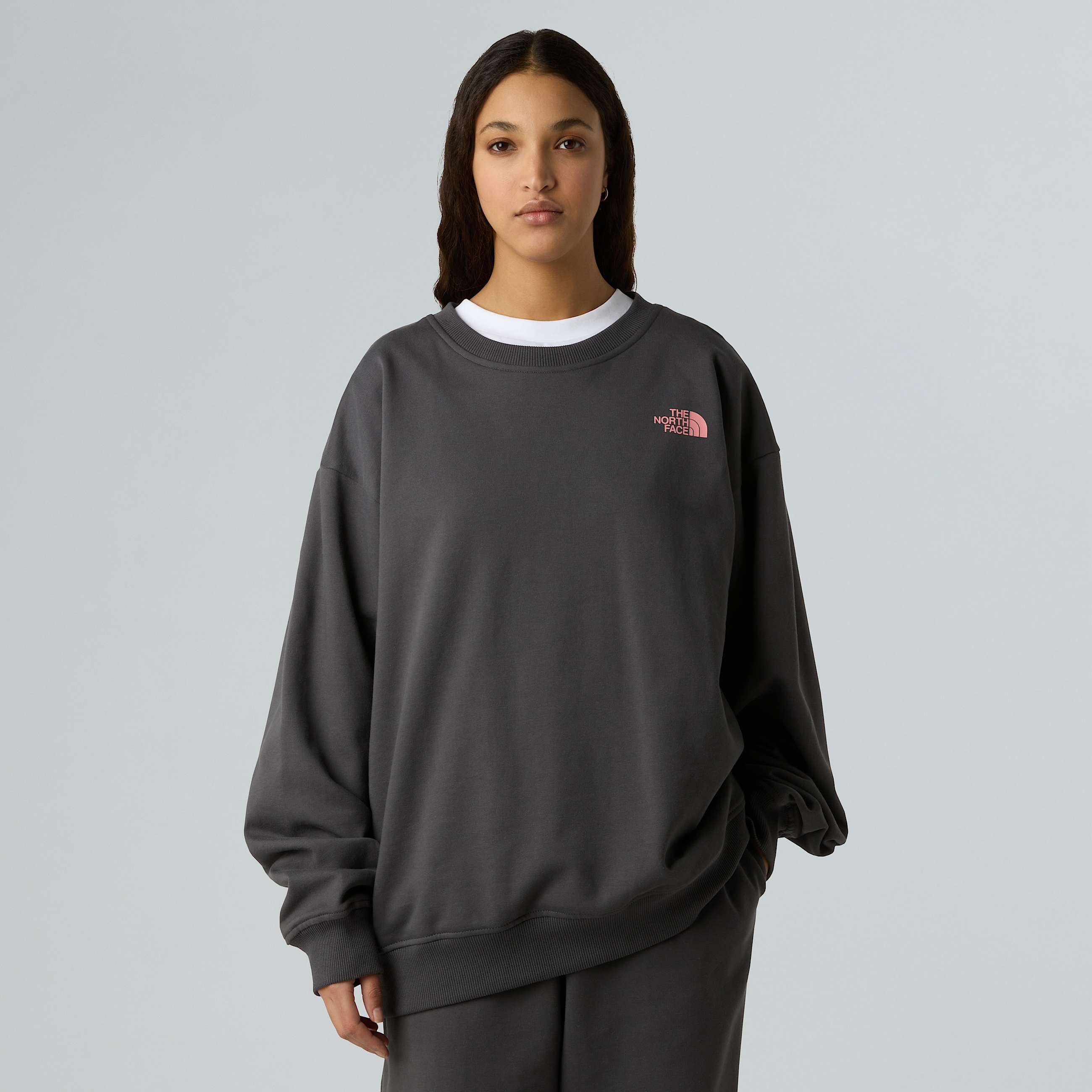 Unisex Expedition Celebration Oversized Sweatshirt TNF ALT8