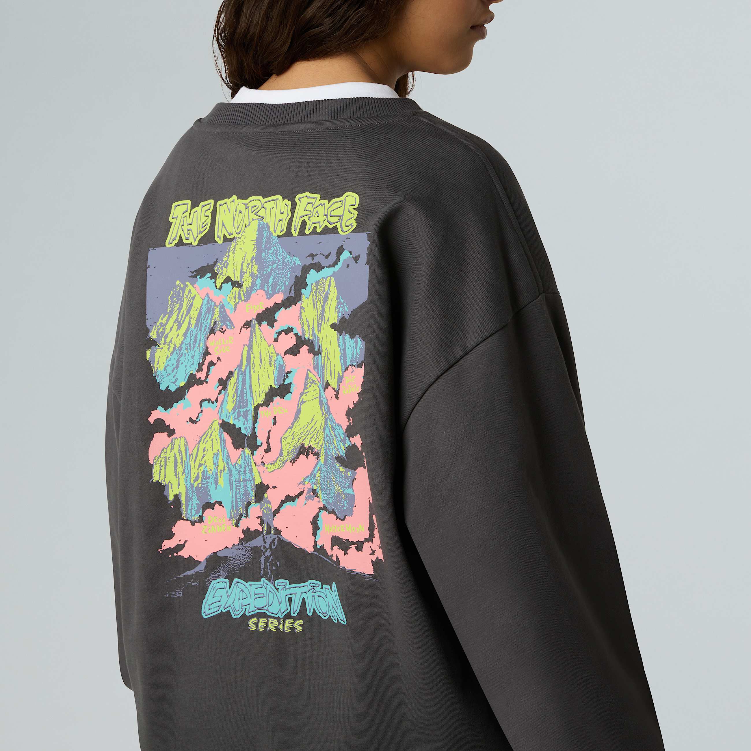 Unisex Expedition Celebration Oversized Sweatshirt TNF ALT10