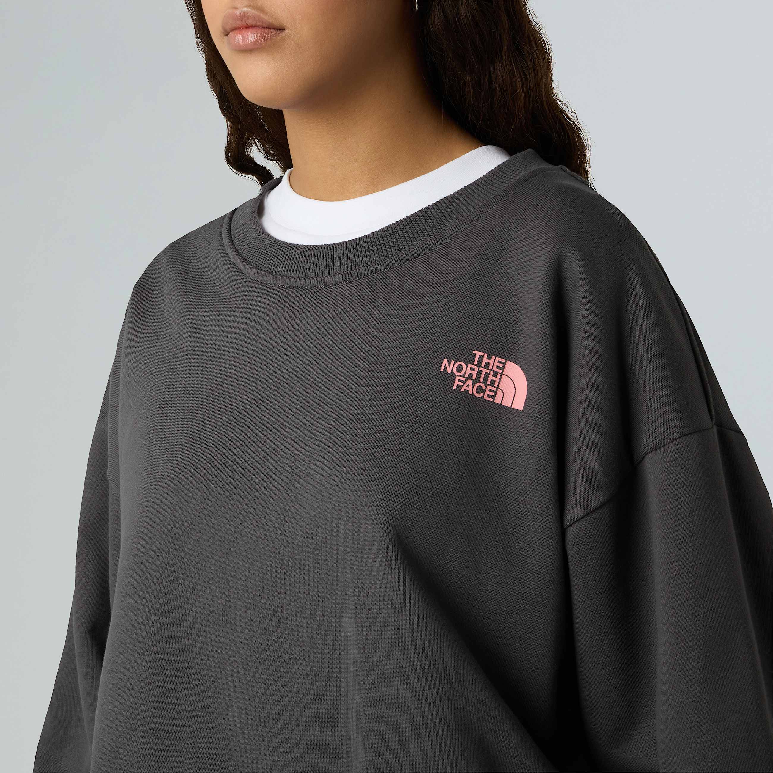 Unisex Expedition Celebration Oversized Sweatshirt TNF ALT11