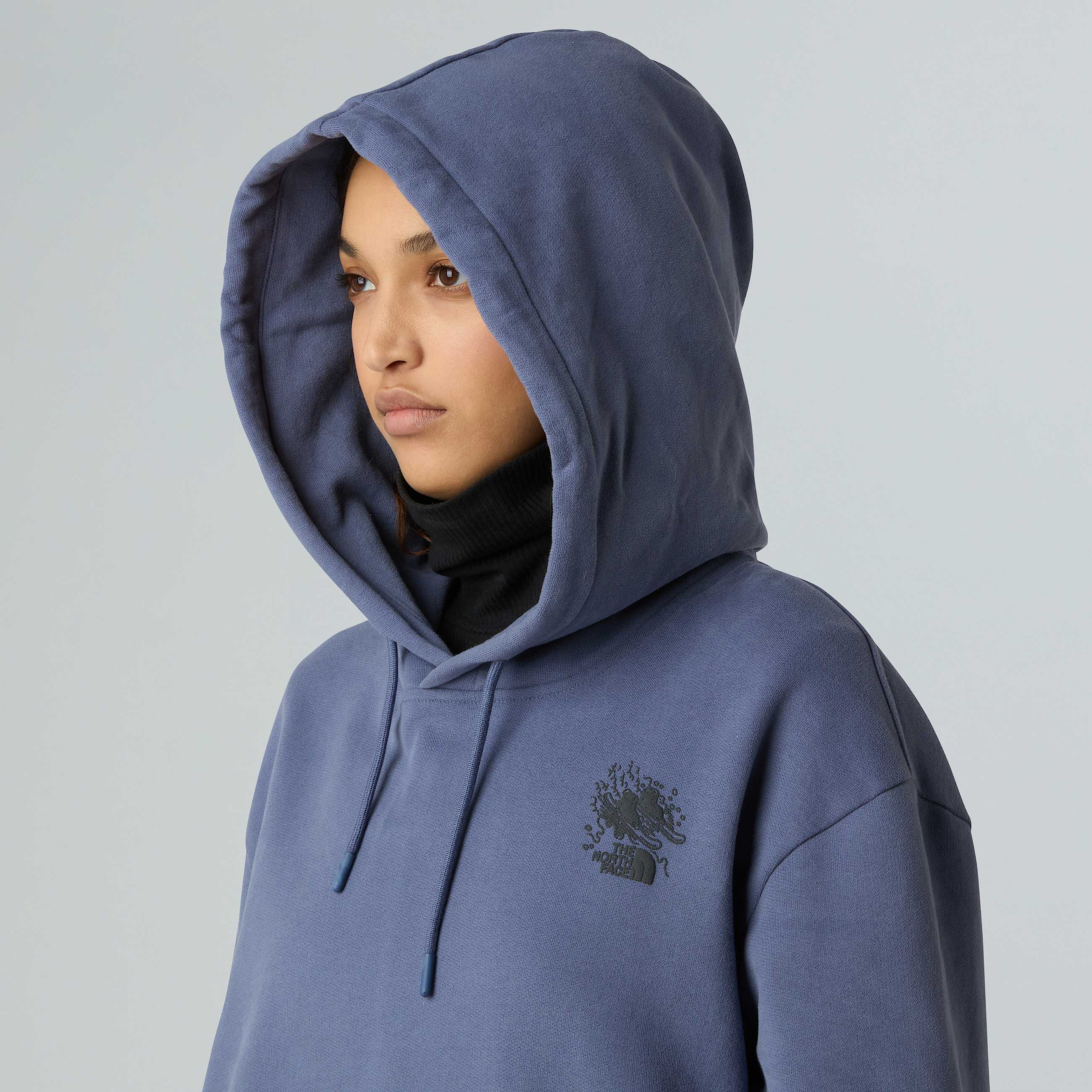 Unisex Powder Days Relaxed Graphic Hoodie TNF ALT11