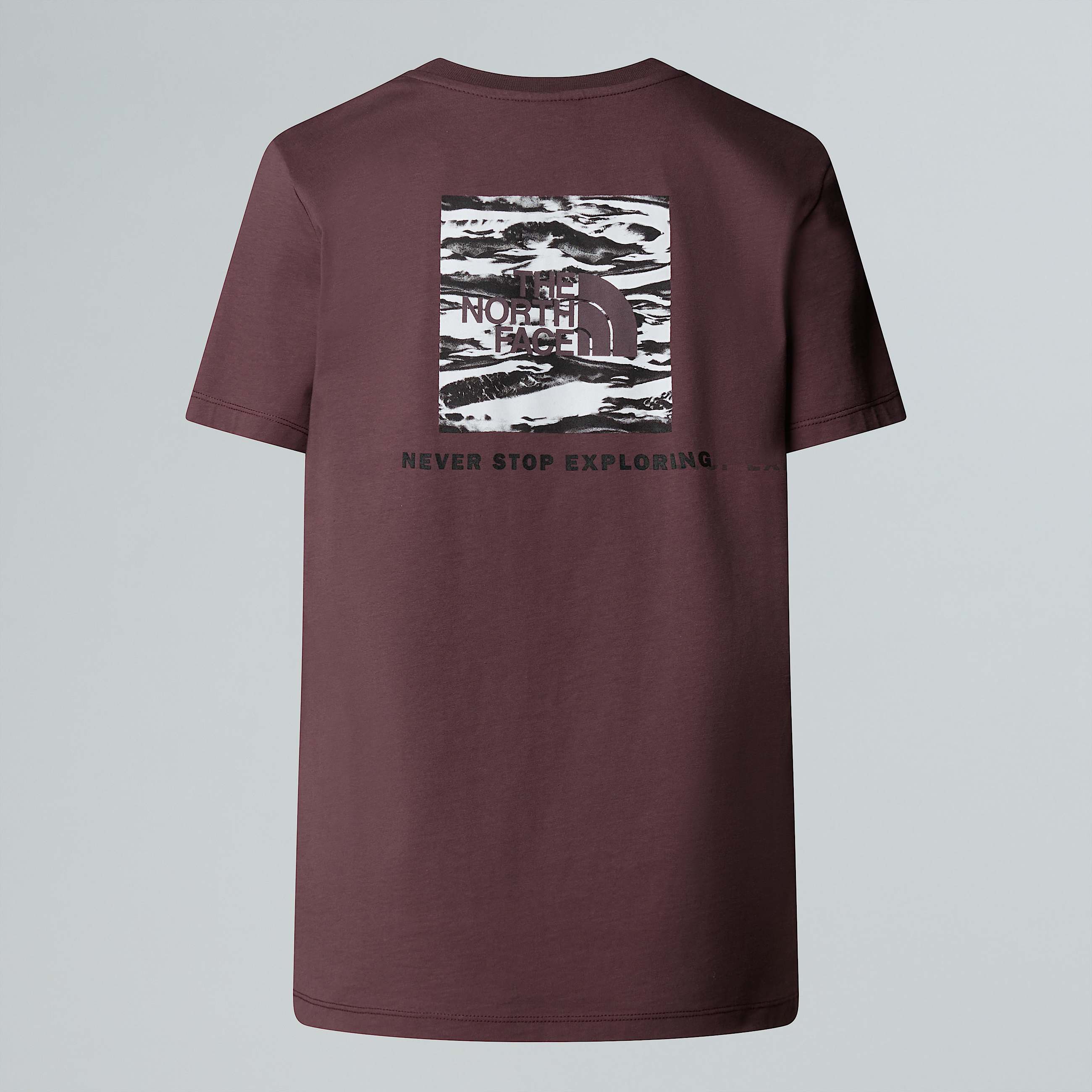 NSE Box Edge Of Light Infill Relaxed TShirt W TNF ALT21