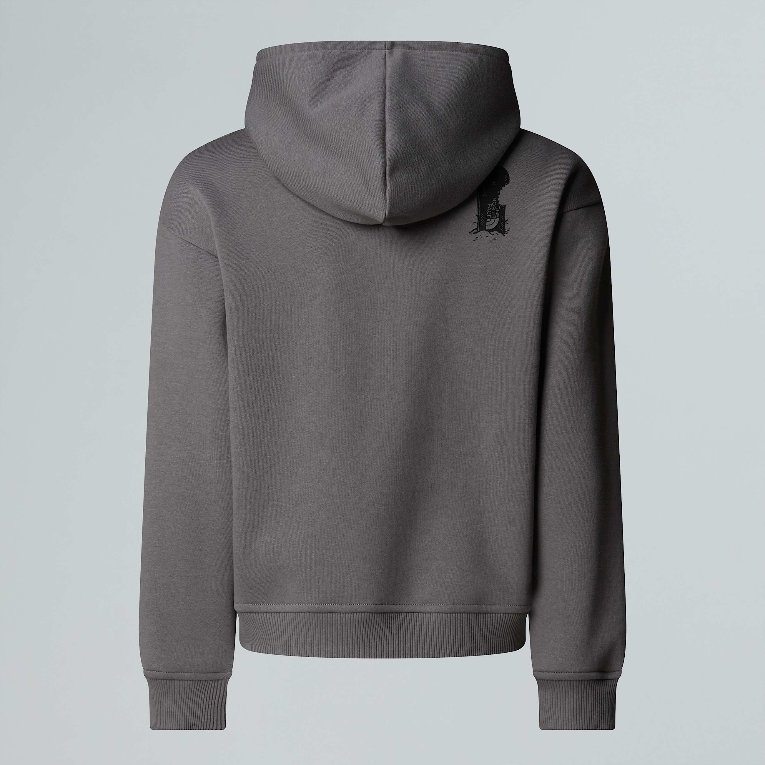 Sports Oversized Graphic Hoodie Boy TNF ALT21