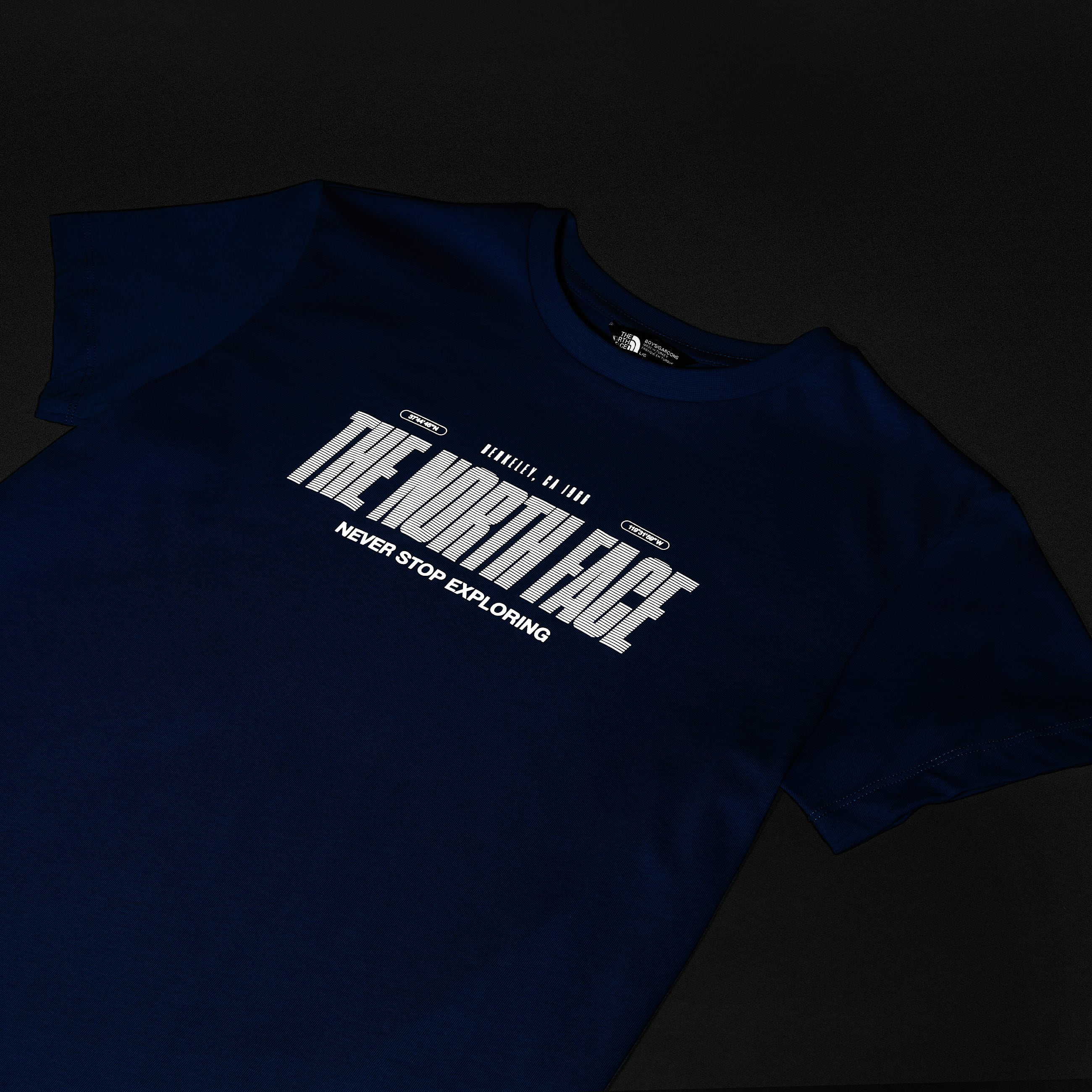 Tshirt Reflective Logo Relaxed da ragazzo TNF ALT15