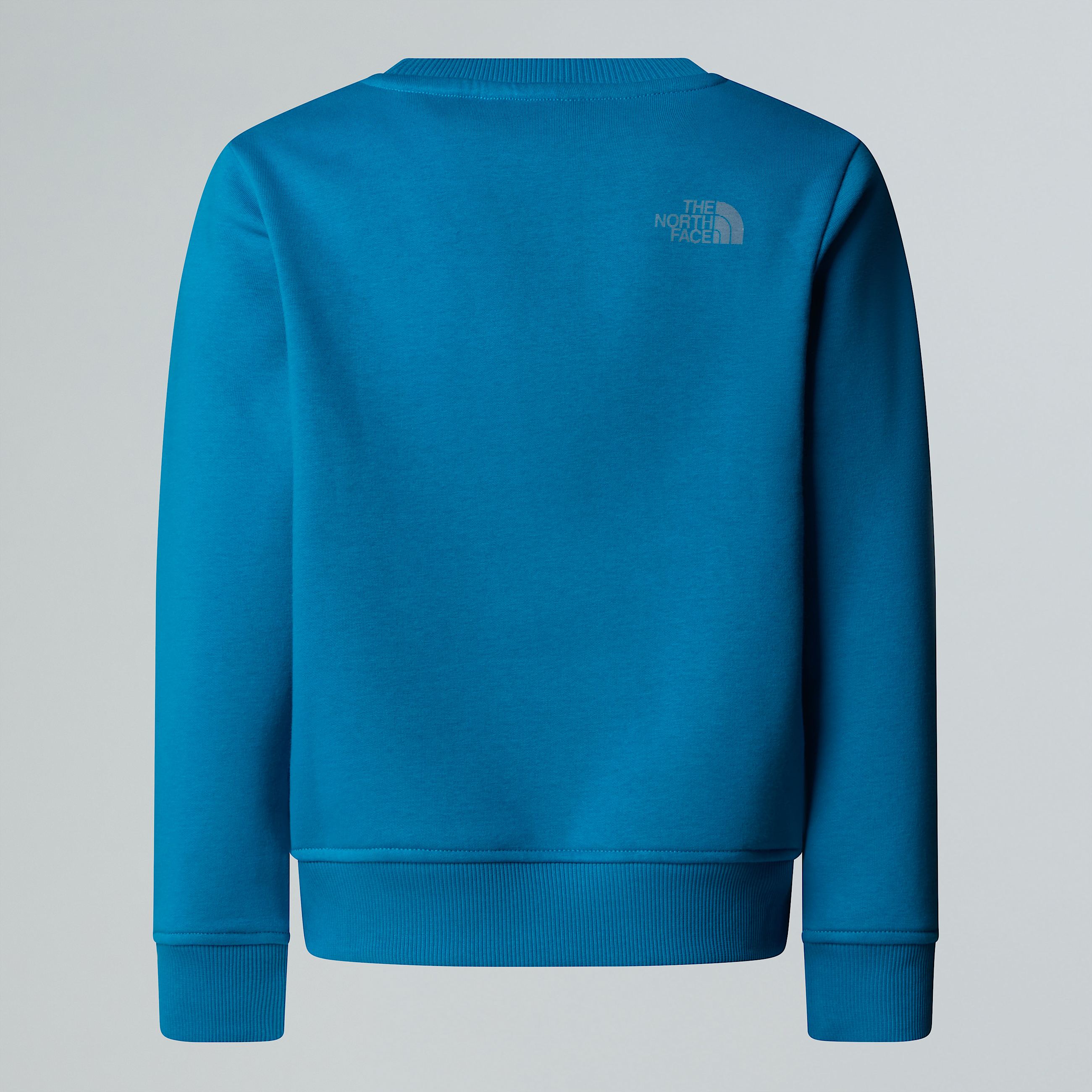 Reflective Logo Relaxed Sweatshirt Boy TNF ALT21