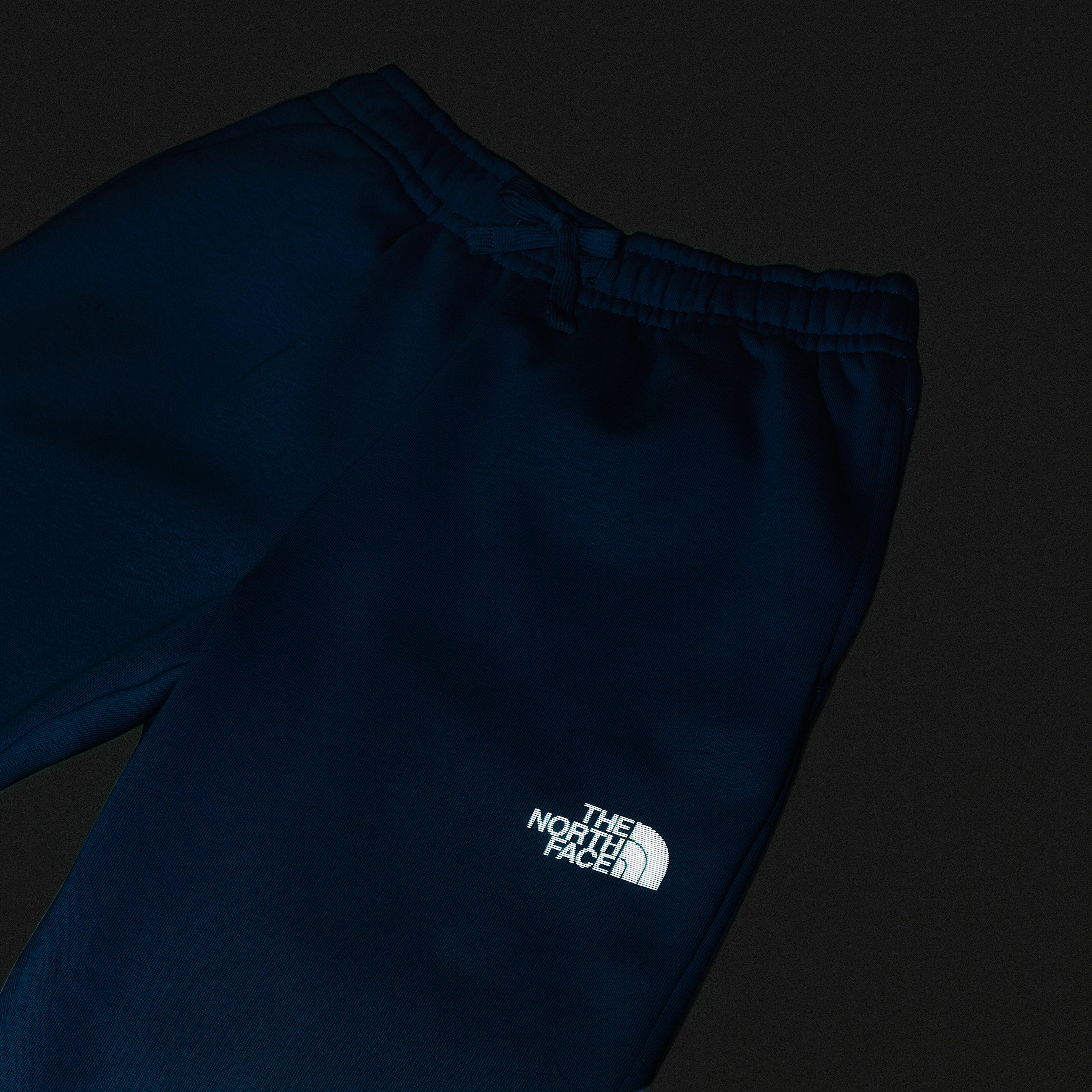 Joggers Reflective Logo da ragazzo TNF ALT15