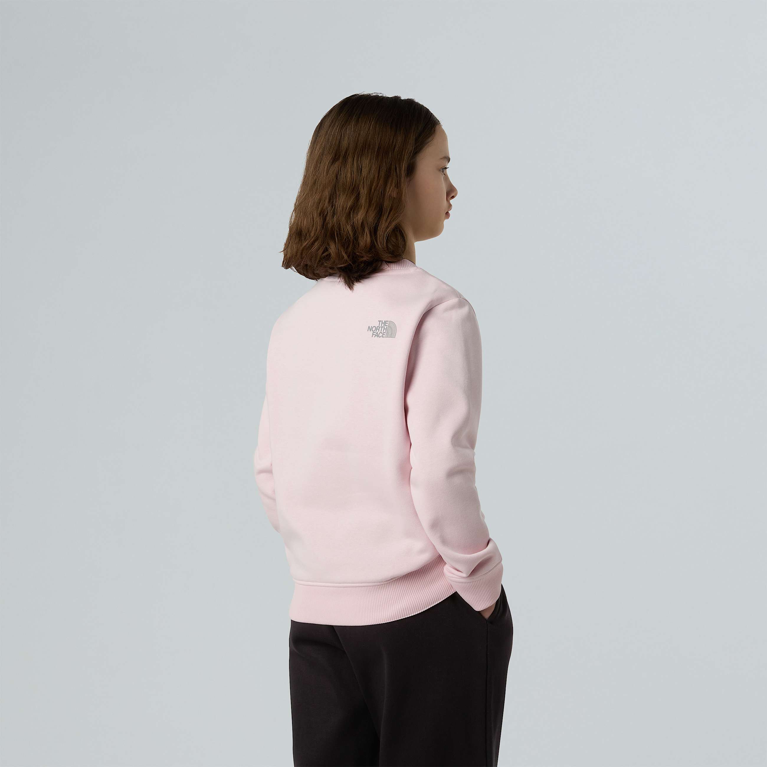 Reflective Logo Relaxed Sweatshirt Girl TNF ALT2