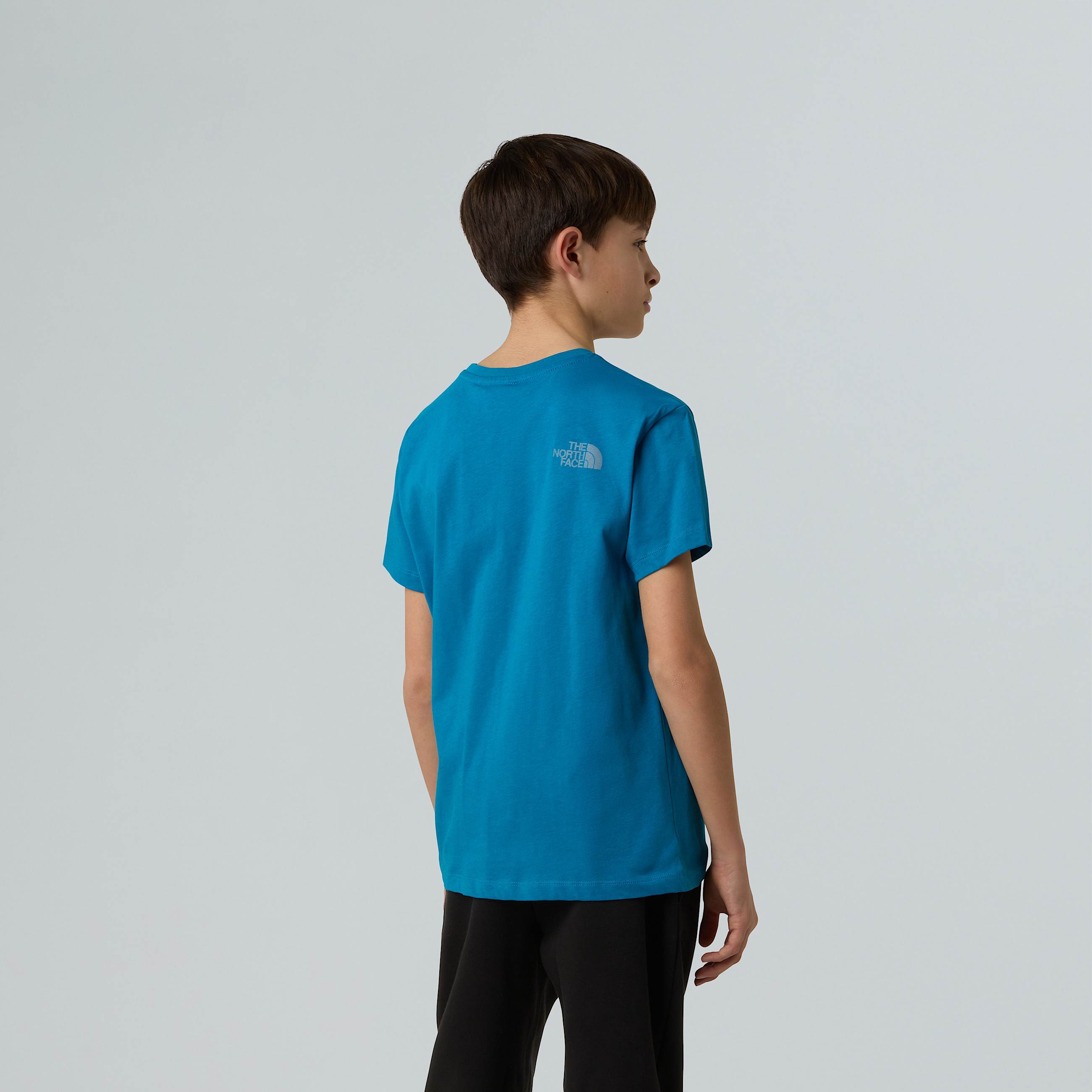 Tshirt Reflective Logo Relaxed da ragazzo TNF ALT2