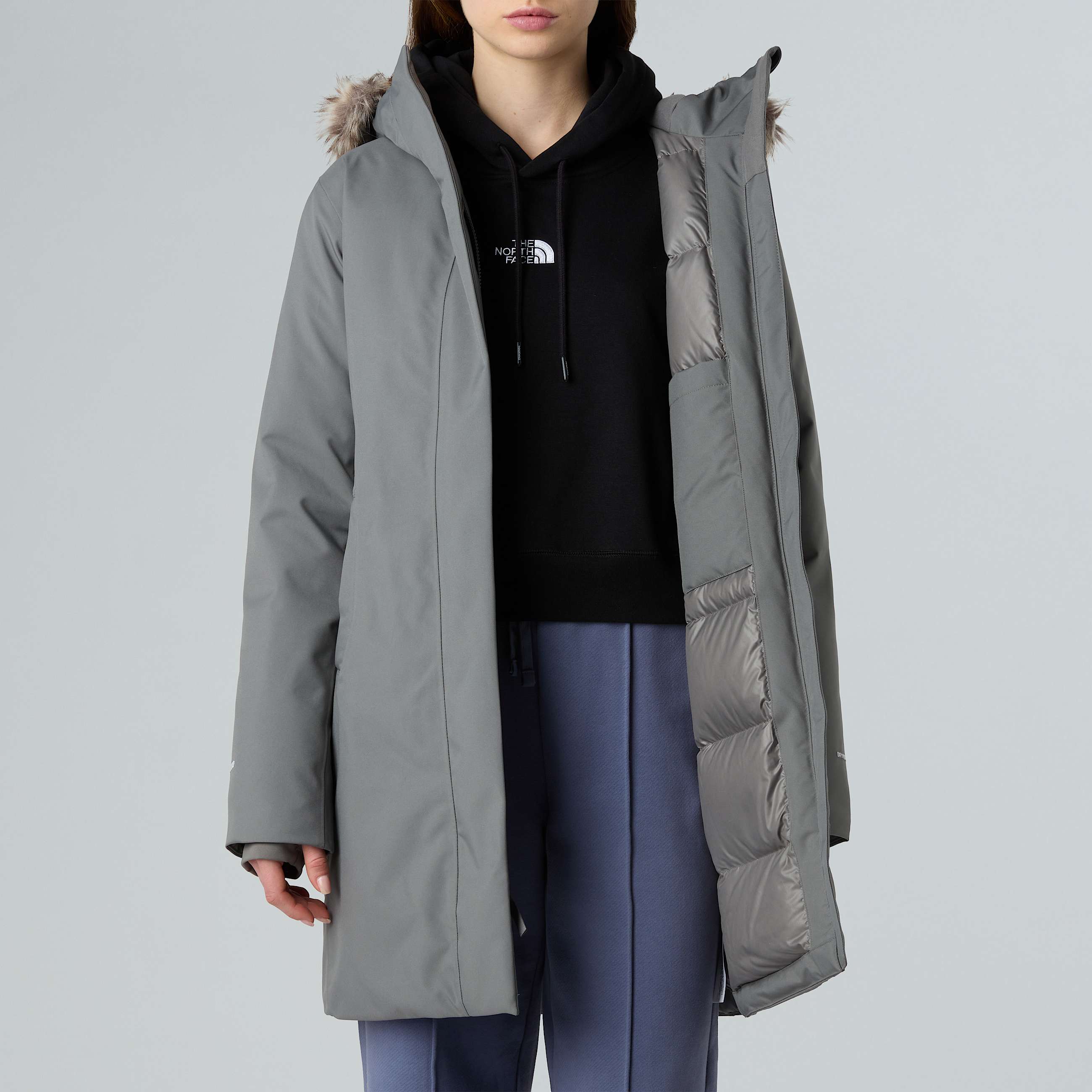 Arctic Parka W TNF ALT7