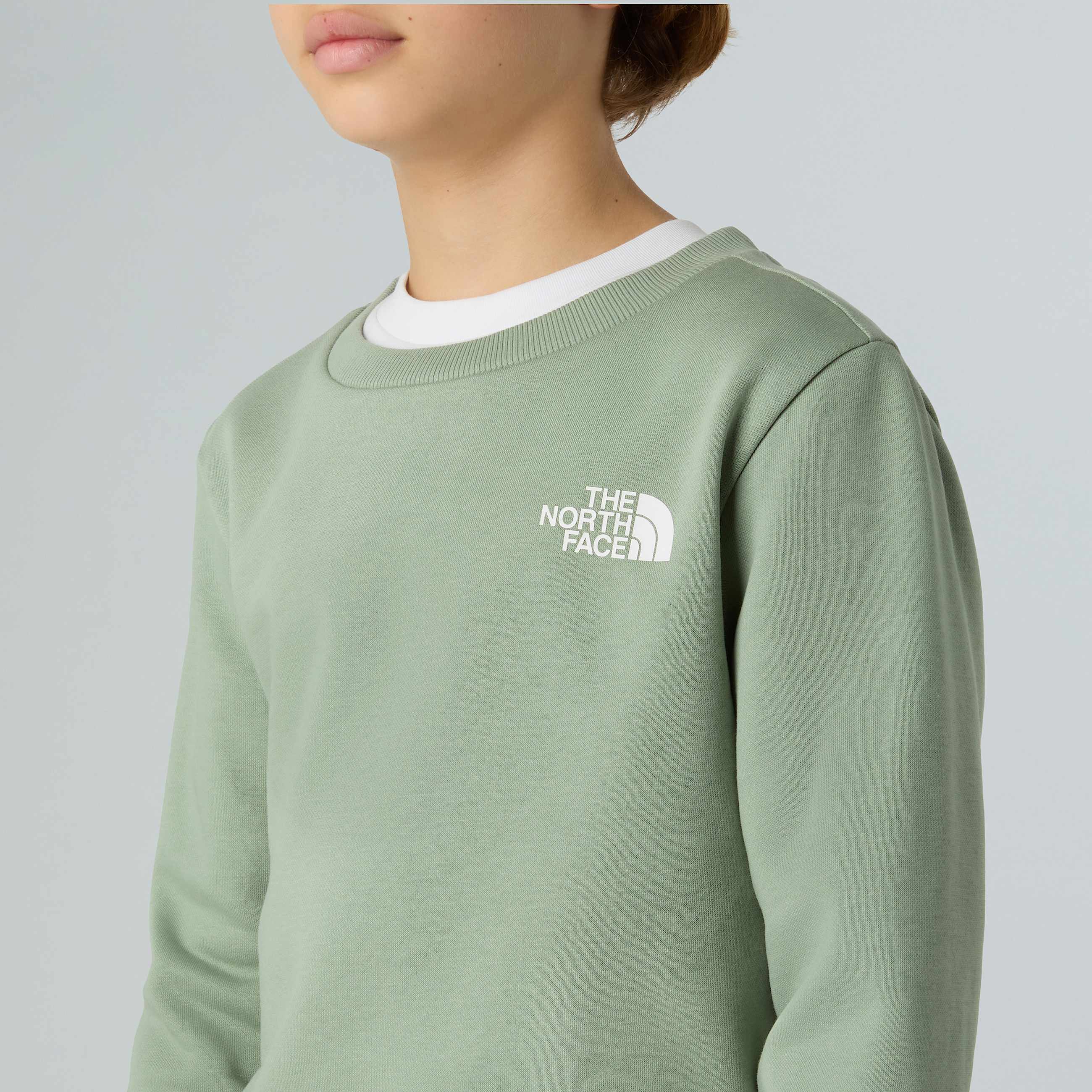 Teens Simple Dome Sweatshirt TNF ALT3