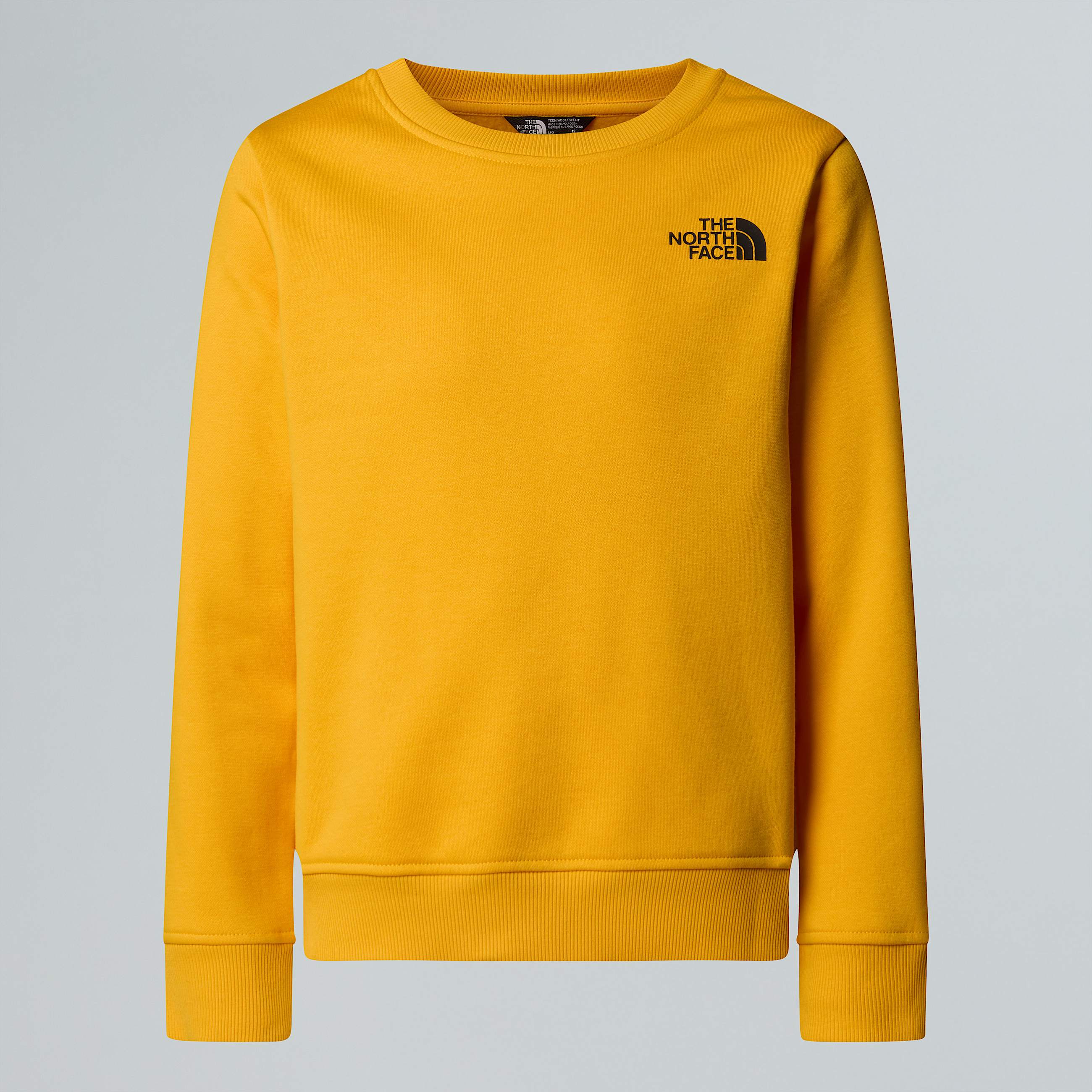 Teens NSE Box Sweatshirt TNF ALT20