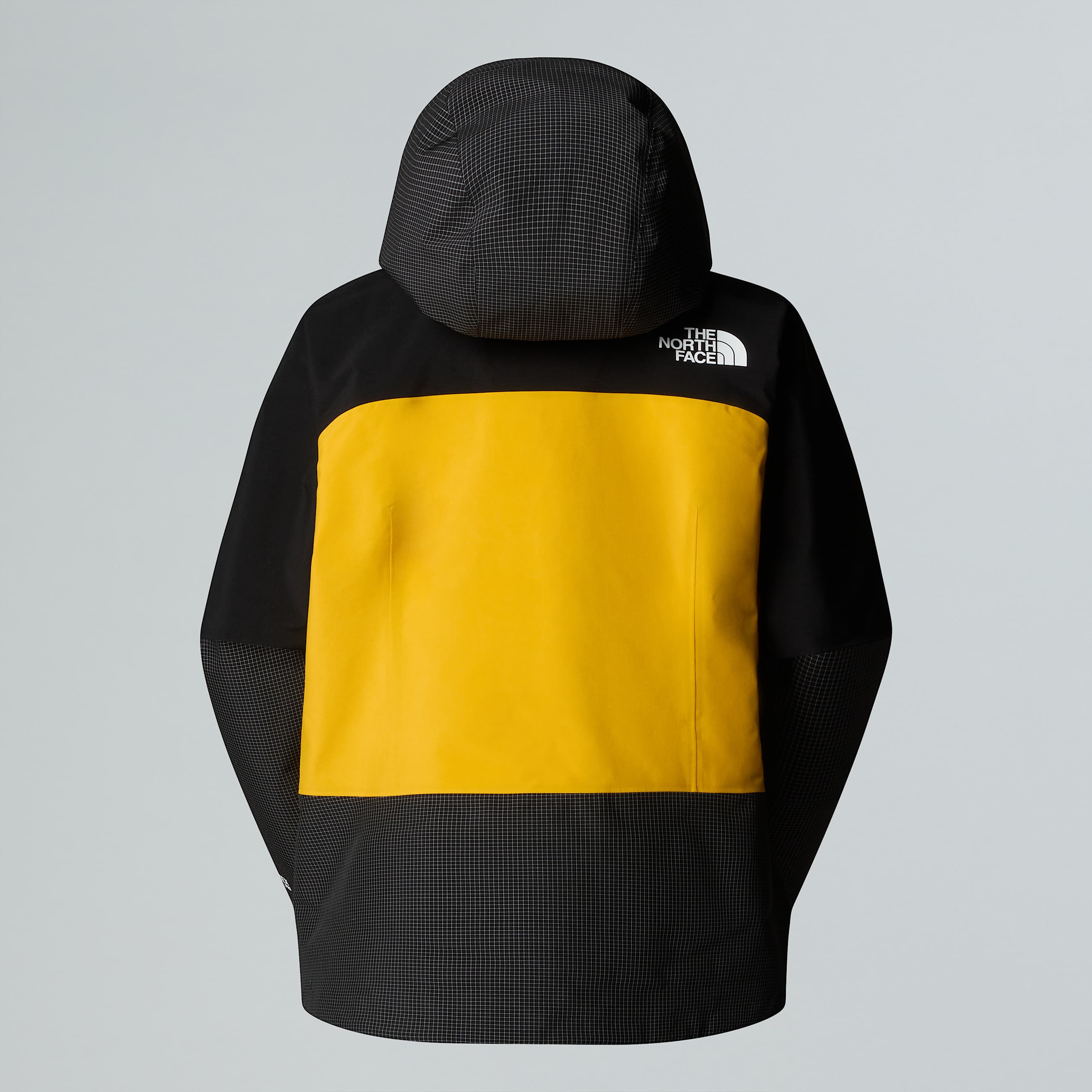 Summit Mountain GORETEX Pro Jacket W TNF ALT21