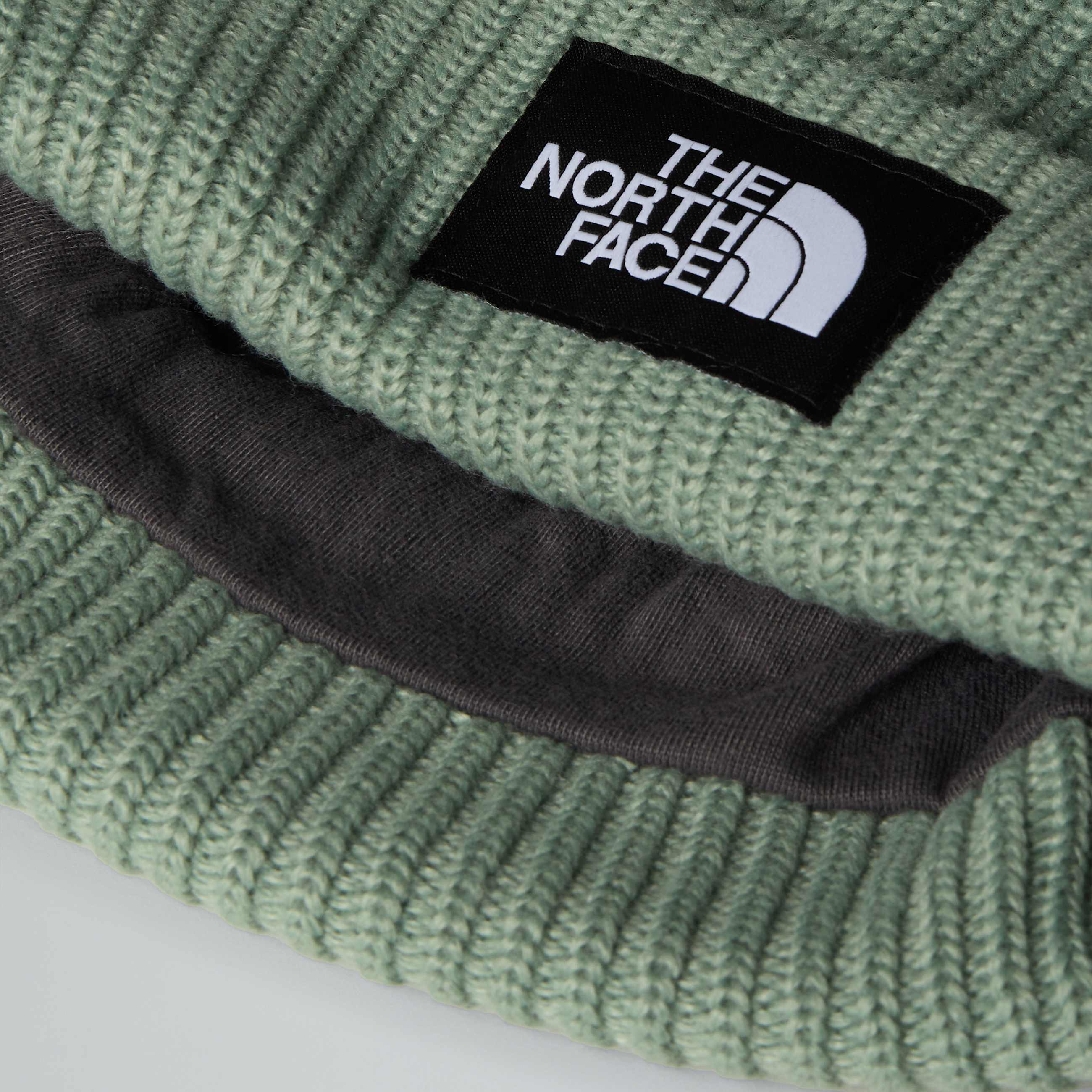 Kids Salty Lined Beanie TNF ALT3