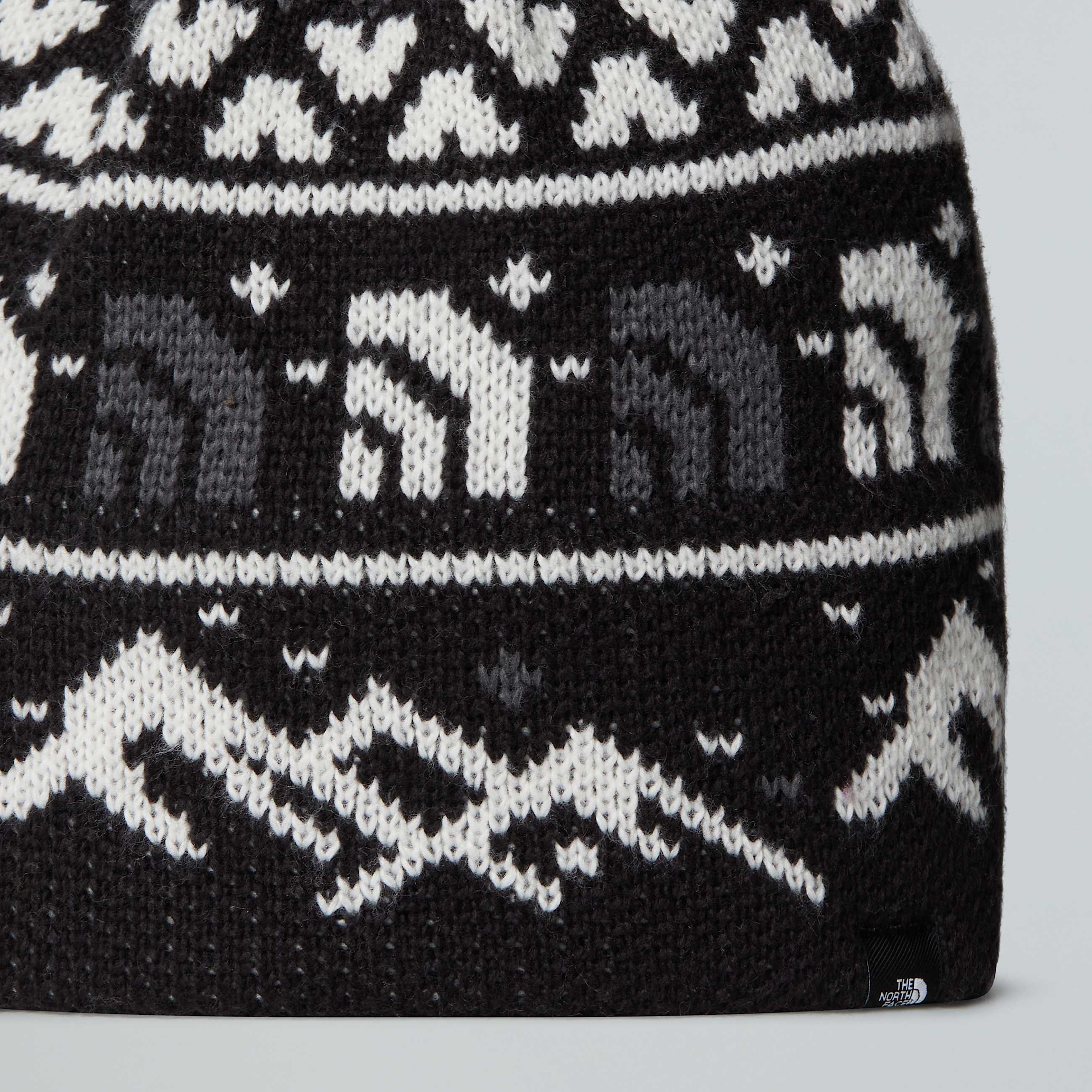 Beanie Cabin Ski Tuke TNF ALT2
